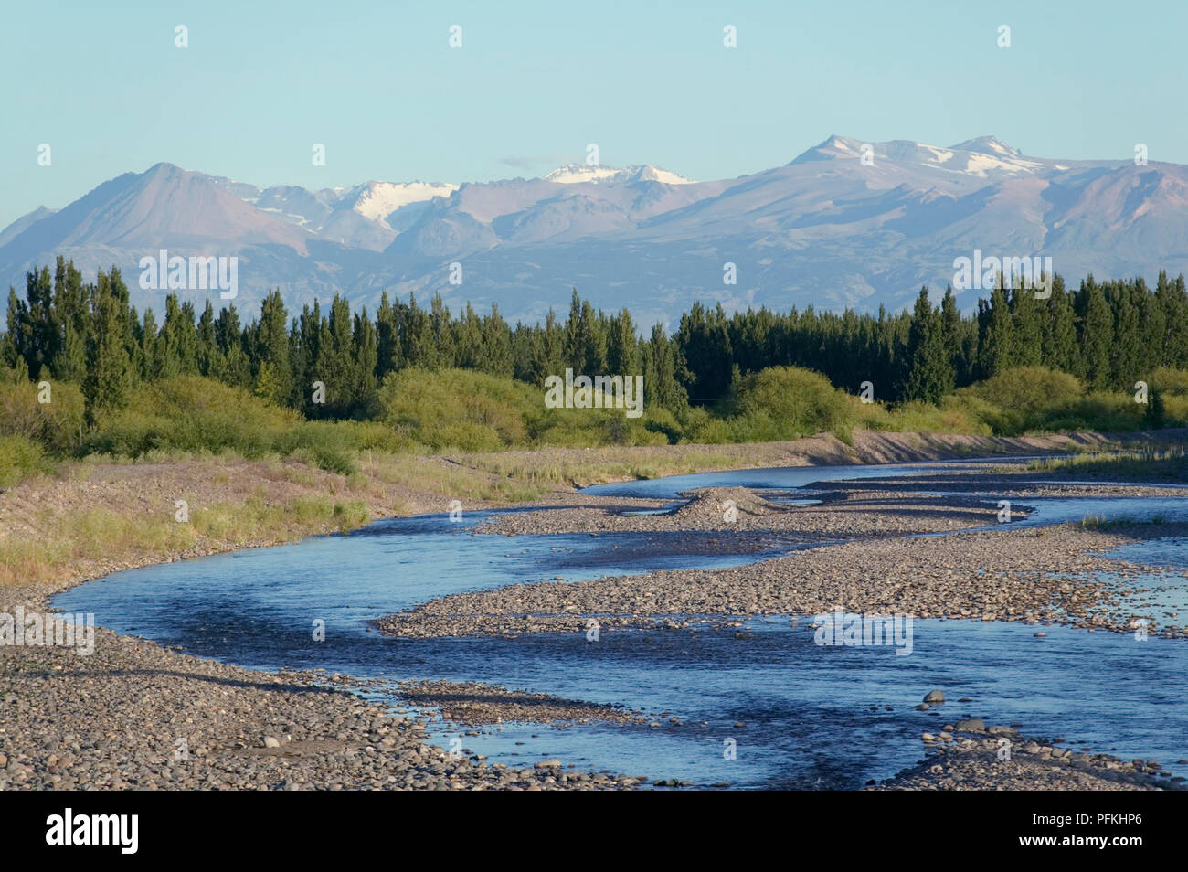 Argentina, Patagonia, Los Antiguos, shelterbelts of poplar trees between winding river and snowcapped Andes in distance Stock Photo