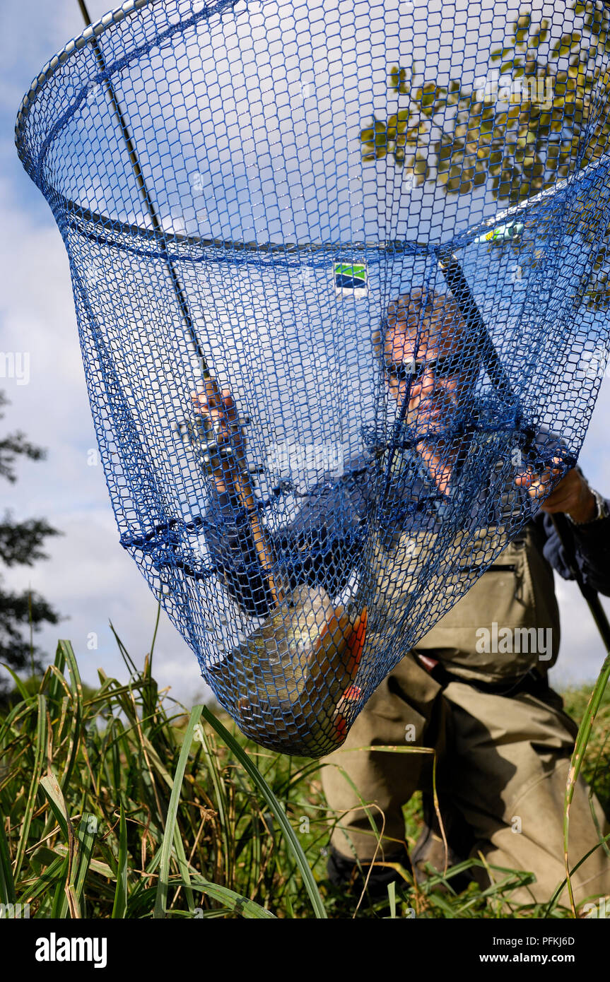 Man holding a fishing net with fish inside it, close-up Stock