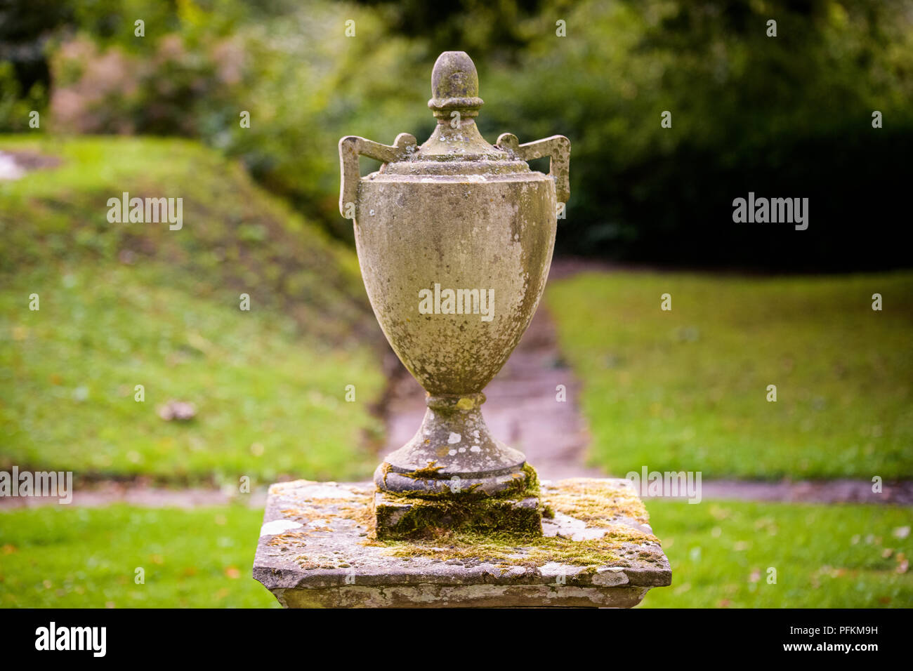 1,208 Trophy Case Stock Photos, High-Res Pictures, and Images