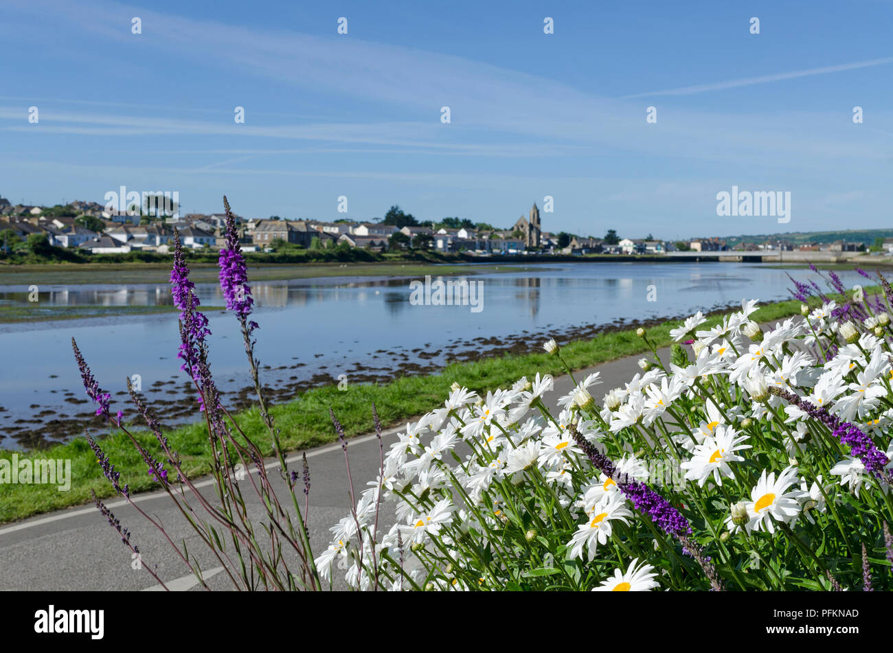 copperhouse pool, hayle, cornwall, england, uk Stock Photo Alamy