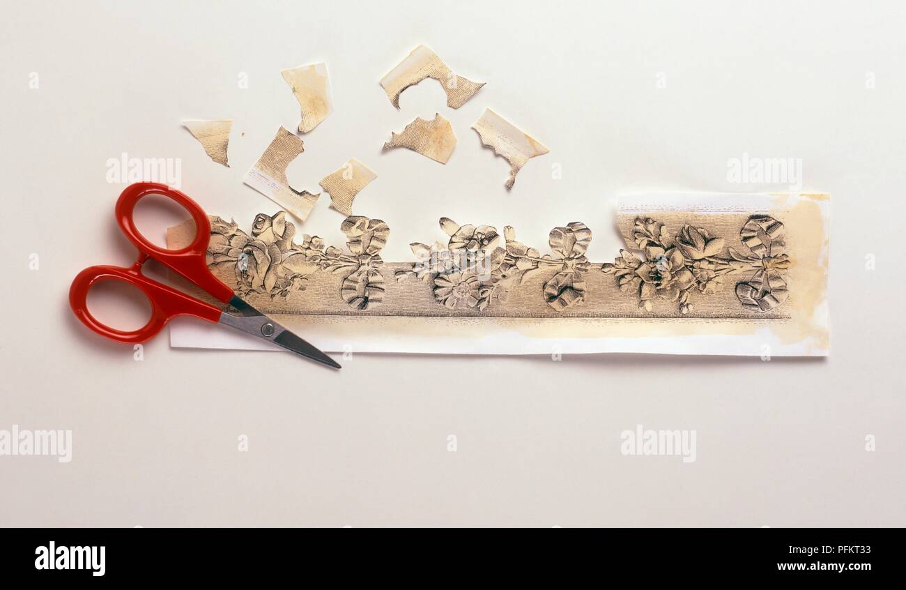 Decoupage illustration sealed with shellac, being cut out with scissors