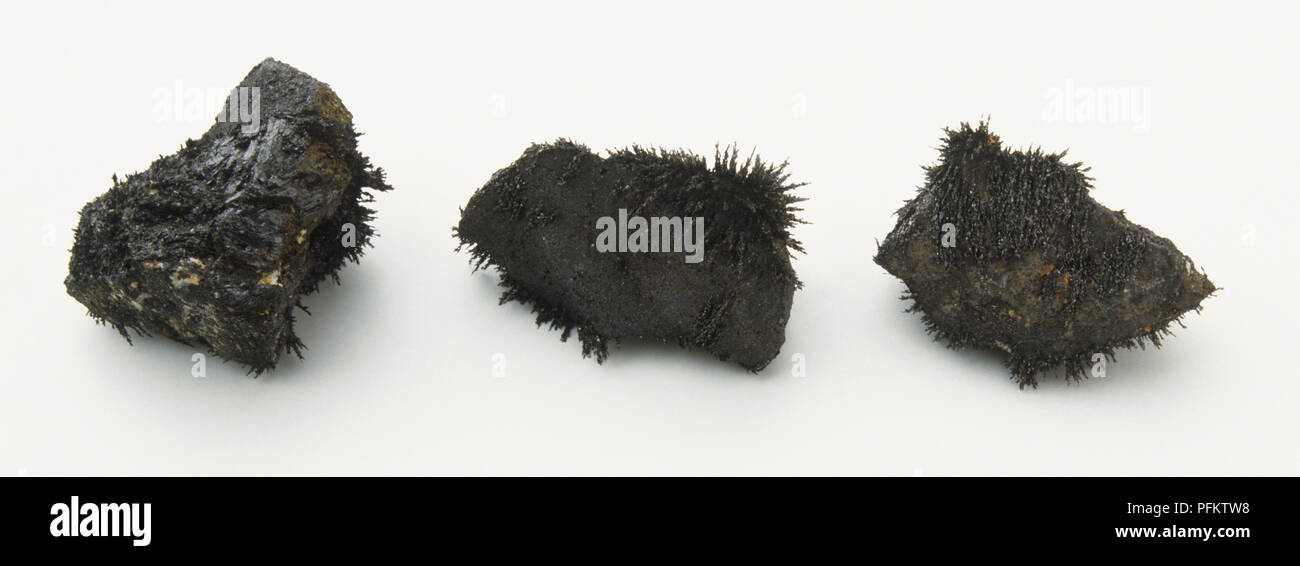 Three pieces of magnetic mineral Stock Photo - Alamy