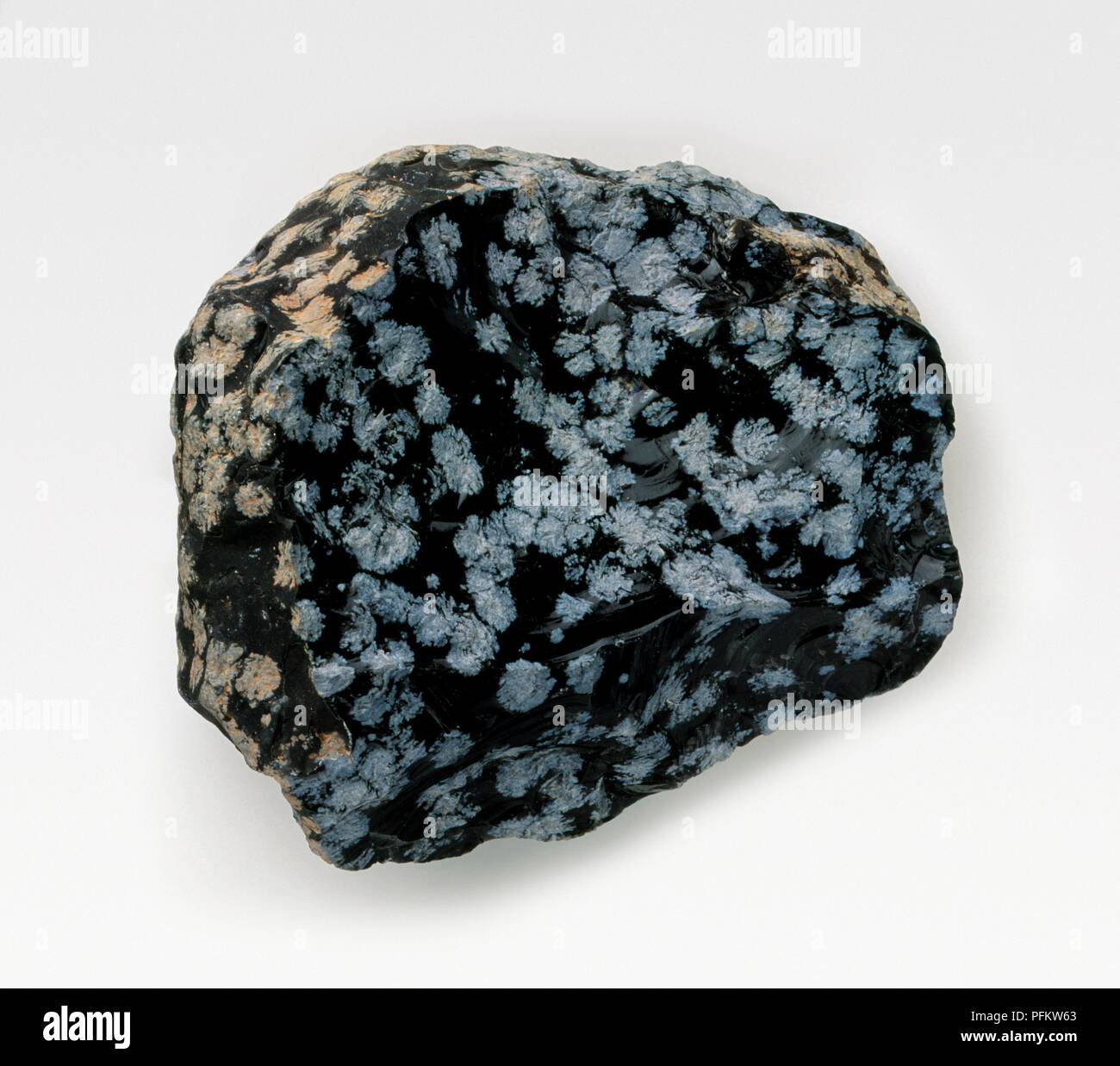 Snowflake Obisidian A Type Of Volcanic Rock Stock Photo Alamy