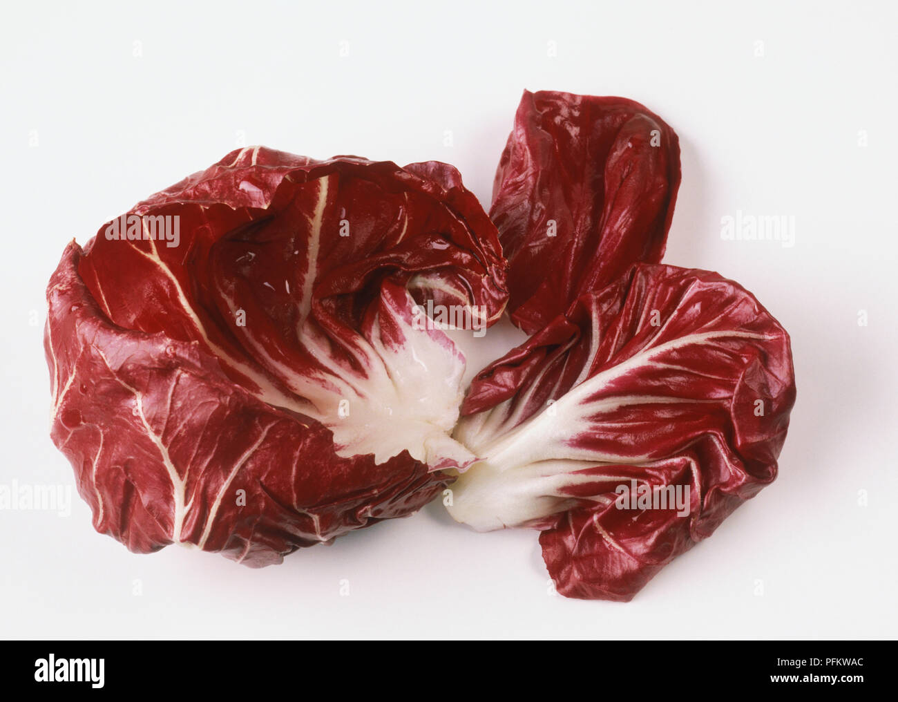 Rounded, ruby-red, white-veined leaves of Cichorium sp., Radicchio Stock Photo