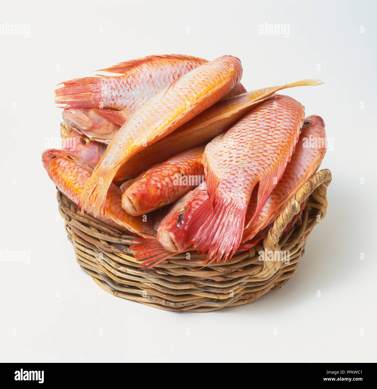 Woven basket stacked with Red Snappers (Lutjanus campechanus), close up. Stock Photo