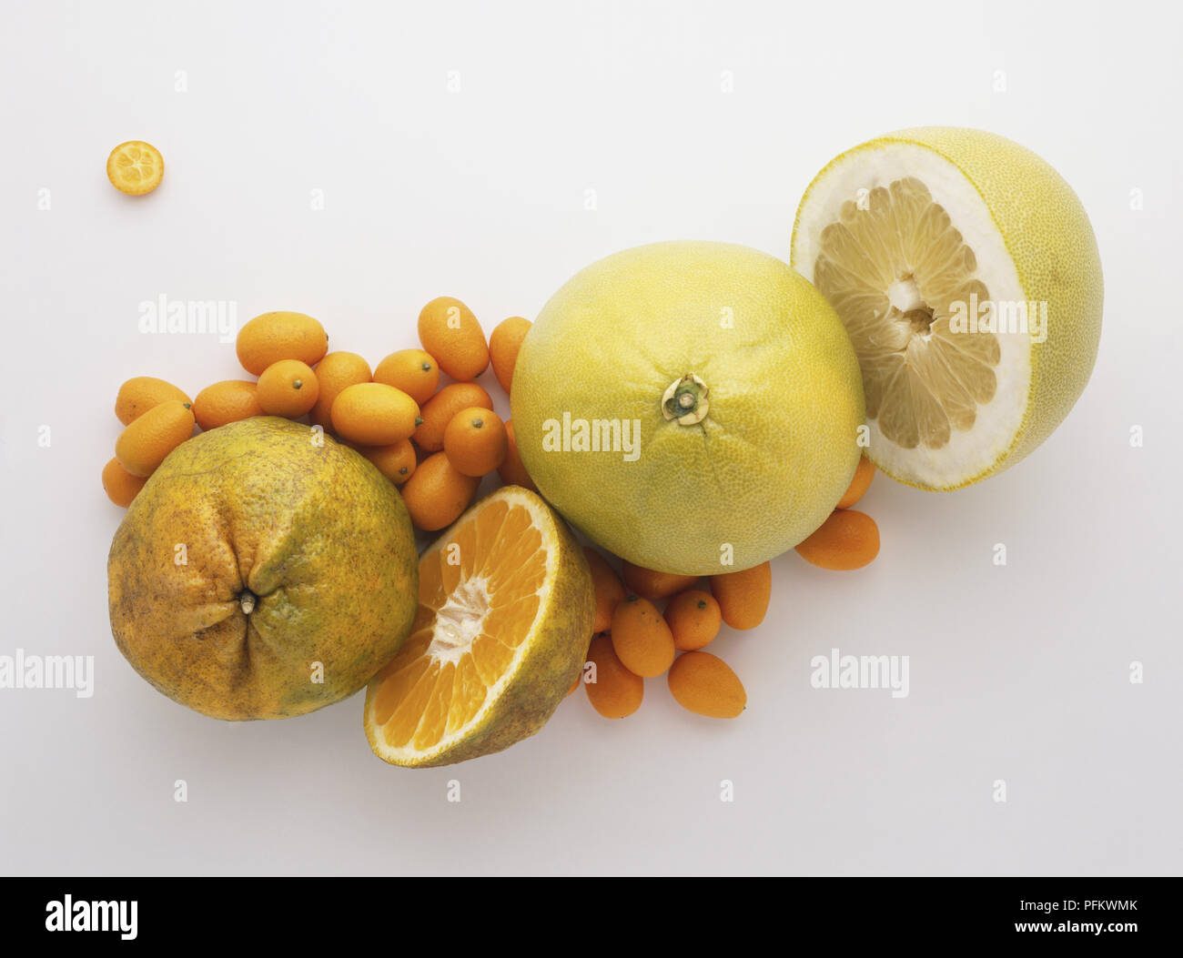 Kumquats, Pomelos and Ugli Fruits, view from above Stock Photo Alamy