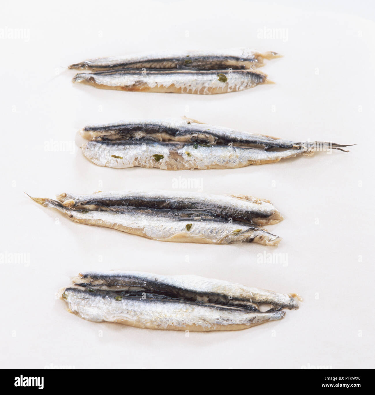 Four anchovies Stock Photo