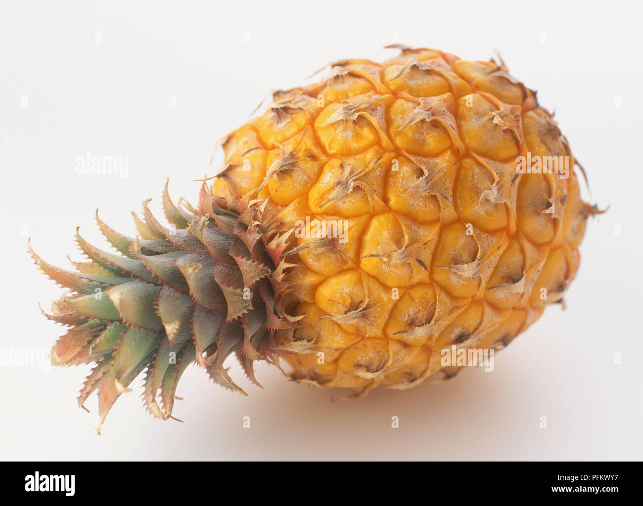 Whole, fresh pineapple Stock Photo - Alamy