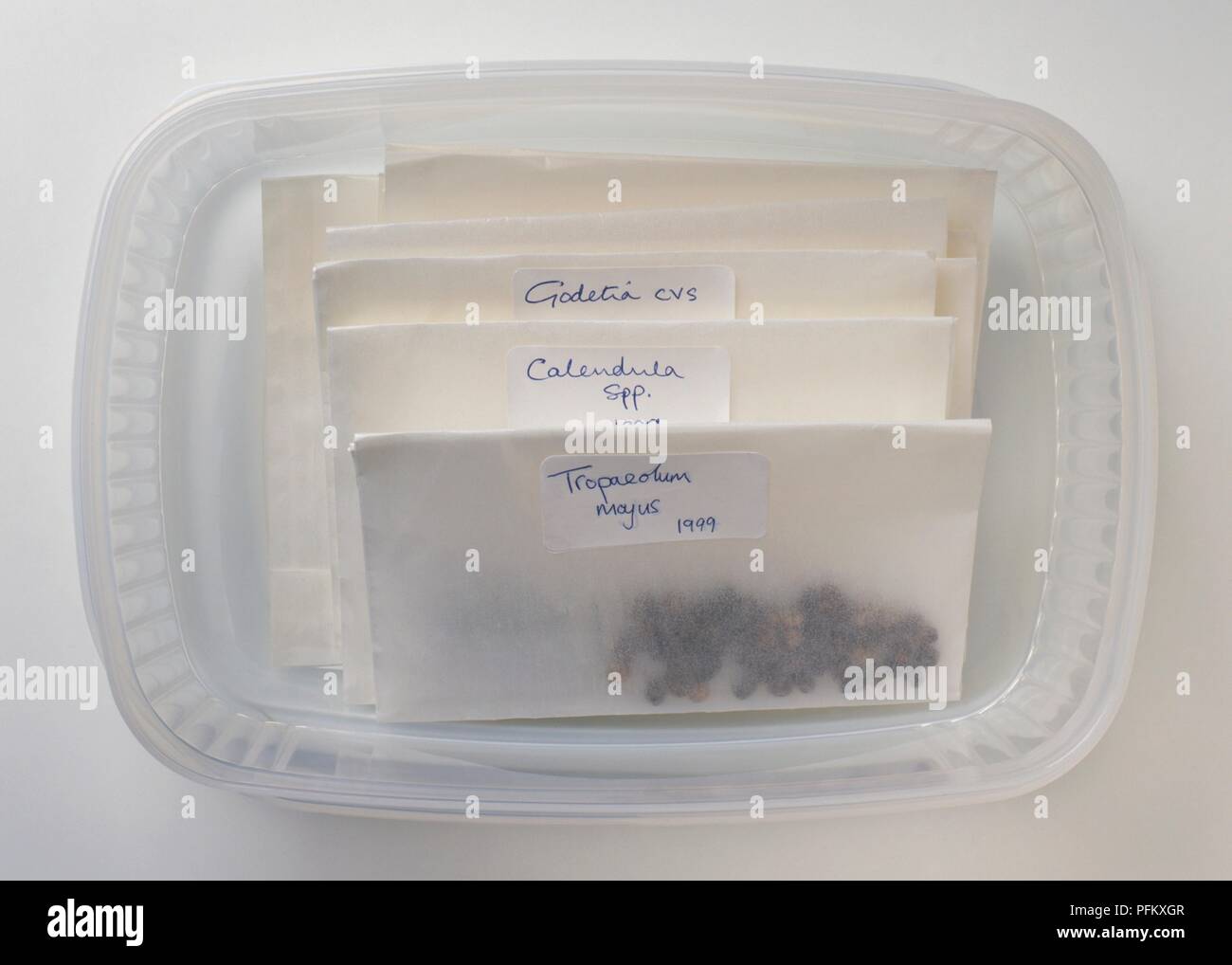 Seeds in sealed and labelled paper envelopes stored in plastic box