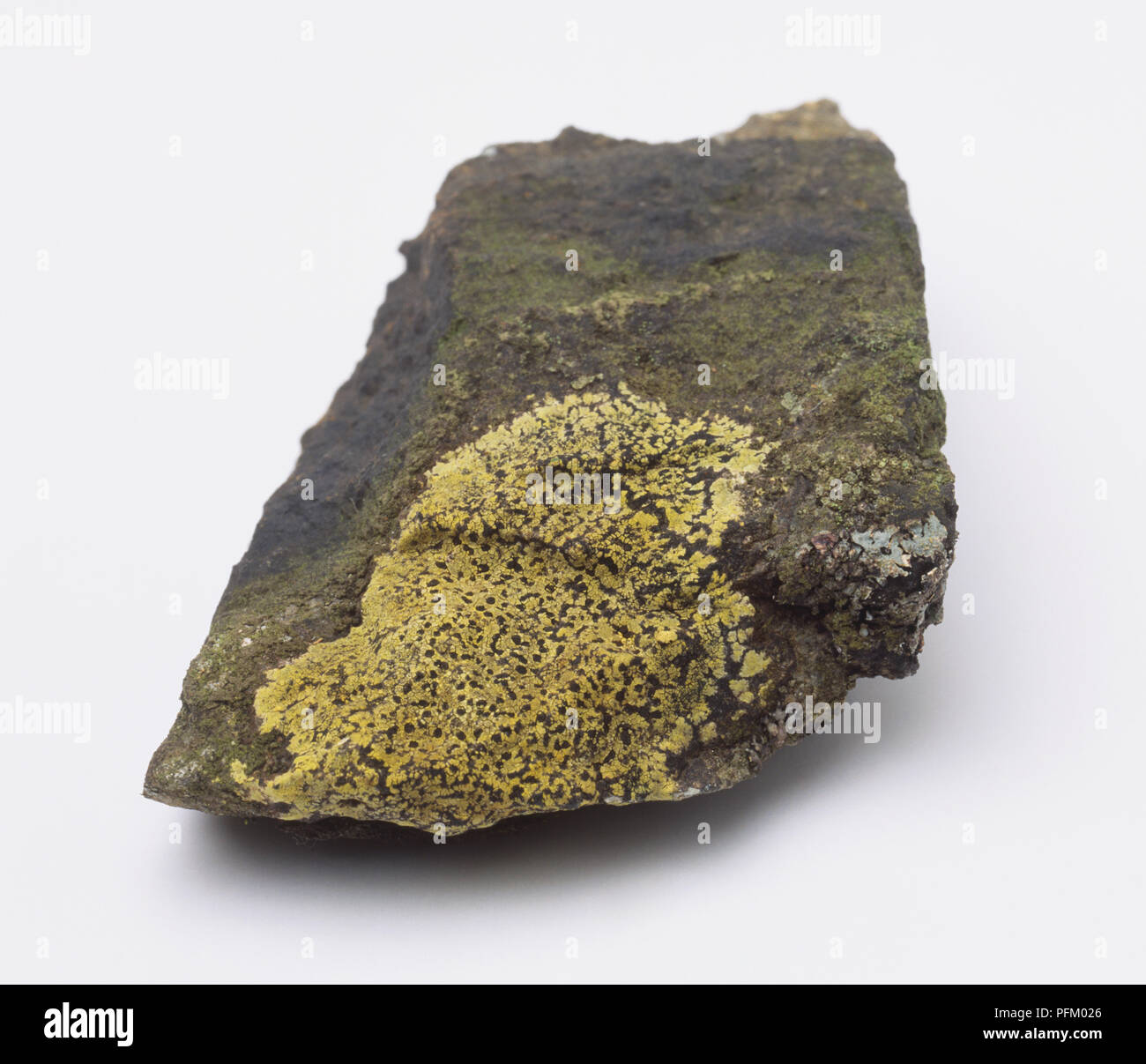 Rock covered in crustose lichen Stock Photo