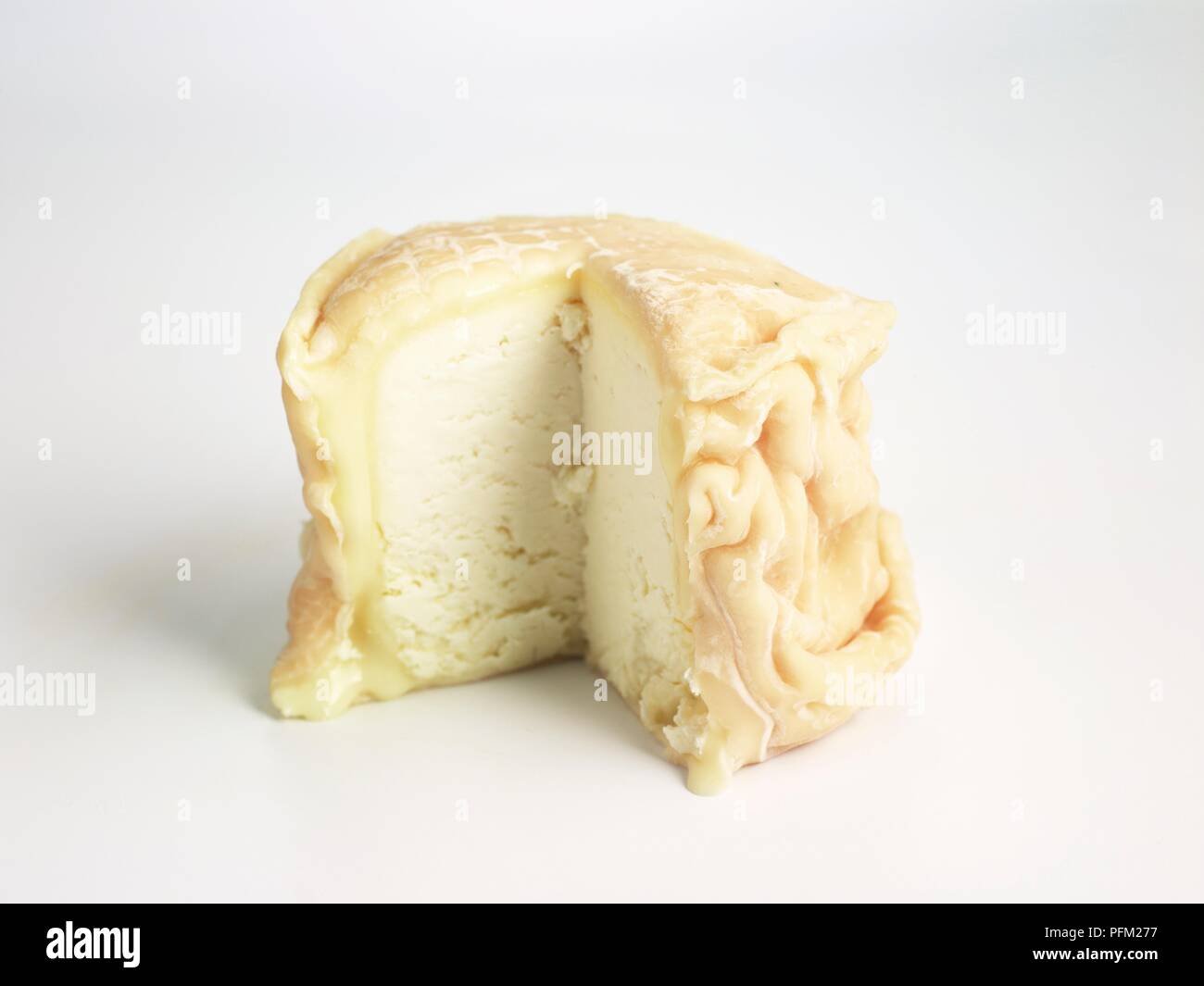 Sliced cylinder of French Tarentais goat #39 s cheese with wrinkled rind Sliced cylinder of French Tarentais goat #39 s cheese with wrinkled rind