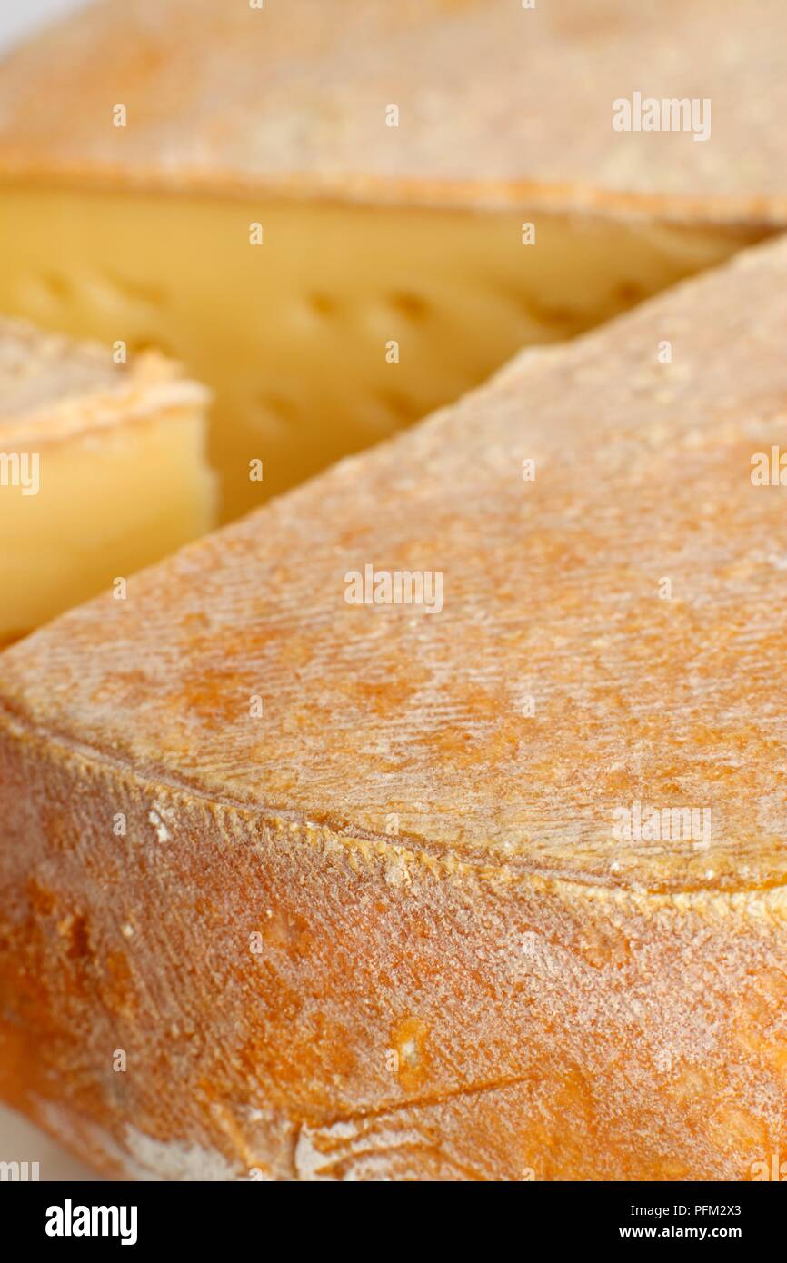 French Abbaye de Tamie cow's milk cheese, closeup on rind Stock Photo