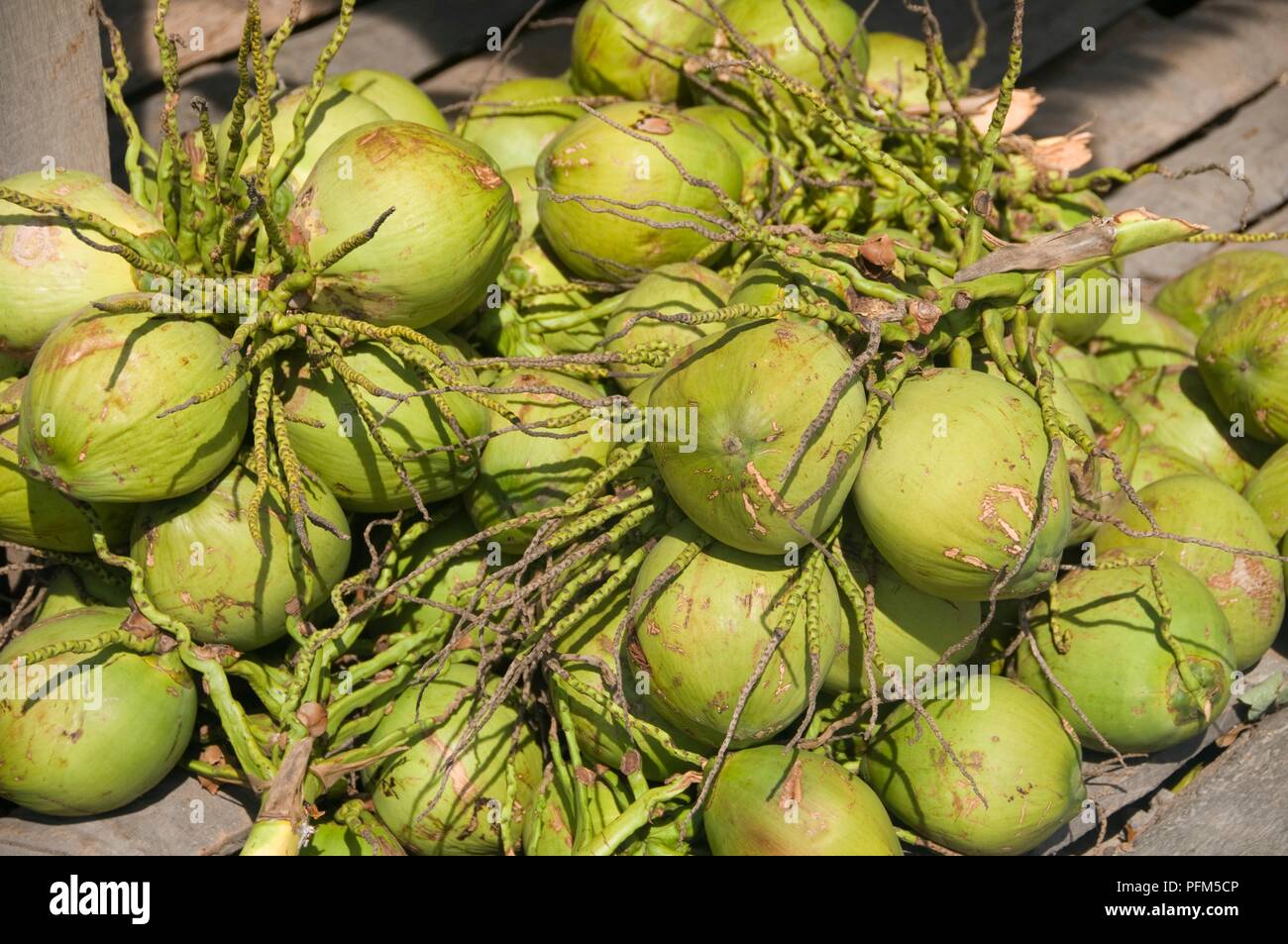 Thailand pile of ripe coconuts hires stock photography and images Alamy
