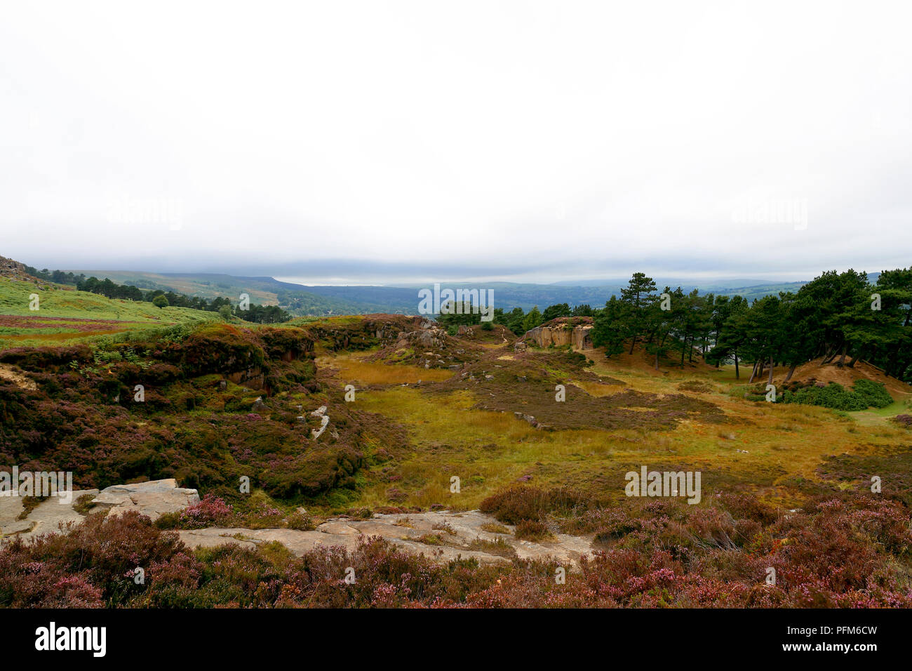 Old stone quarry on Ilkley moor and now being reclaimed by nature Stock Photo