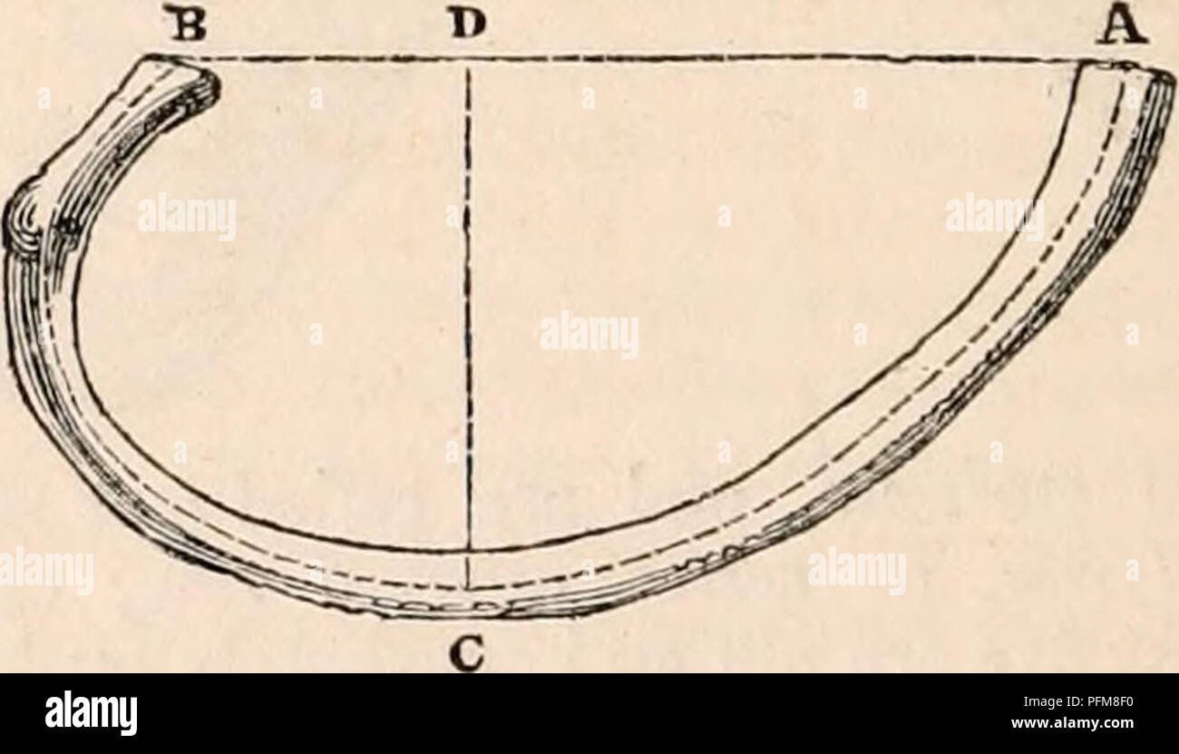 . The cyclopædia of anatomy and physiology. Anatomy; Physiology ...