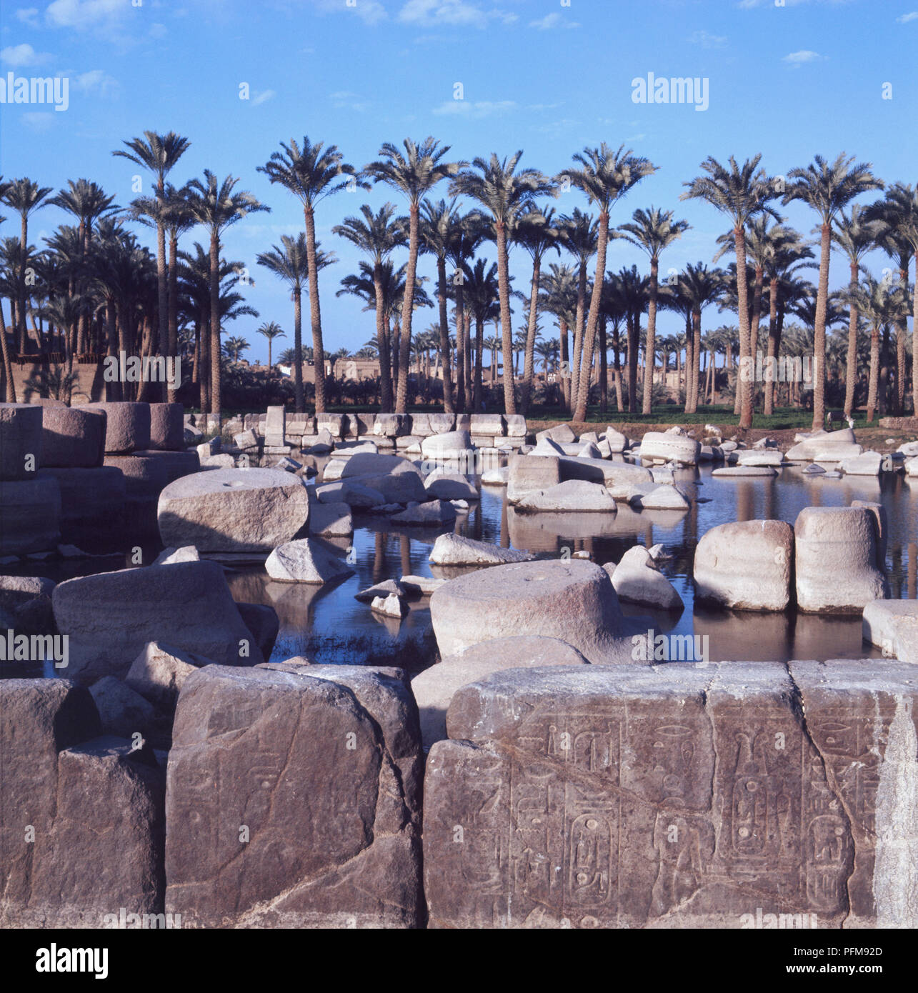 Egypt, Memphis, ancient city of Egypt, capital of the Old Kingdom flooded ruins, stone with hieroglyphics in foreground, palm trees in background. Stock Photo