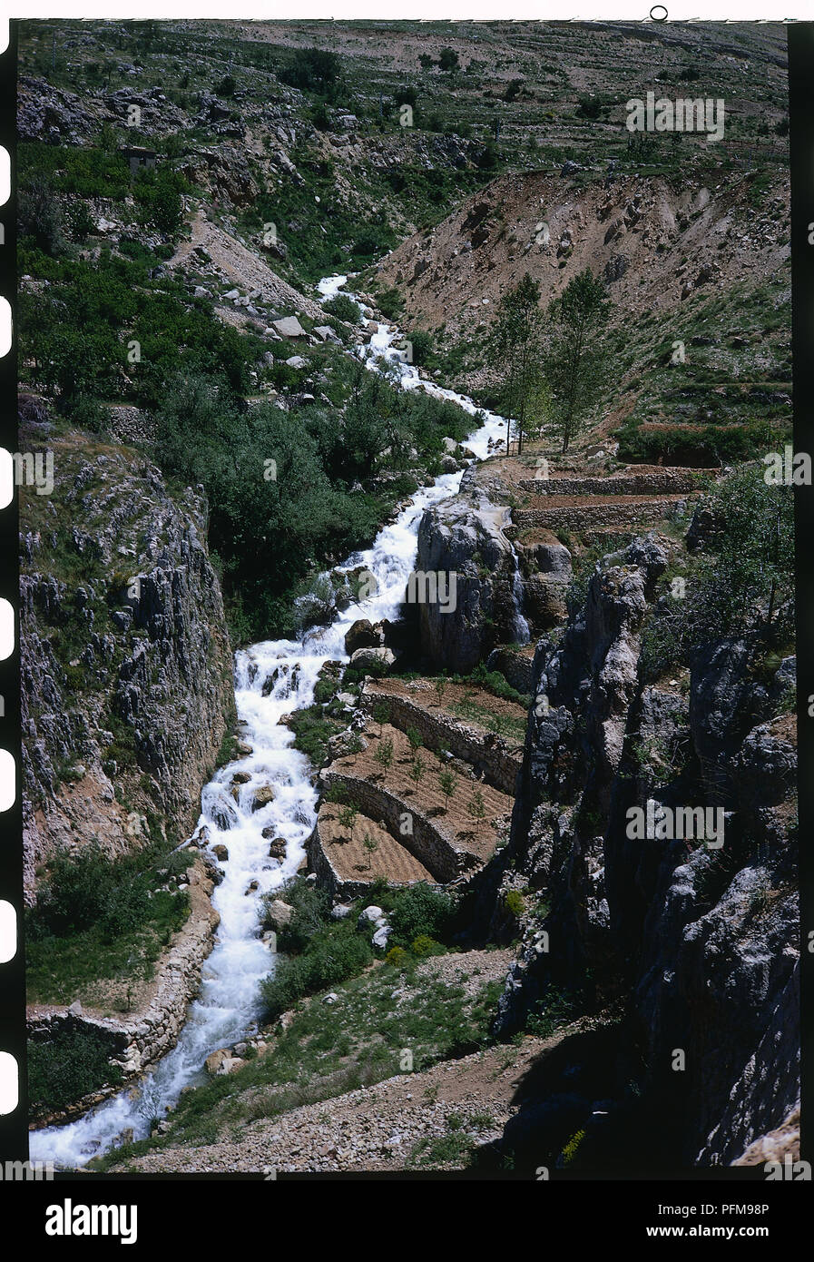 Dog river lebanon hires stock photography and images Alamy