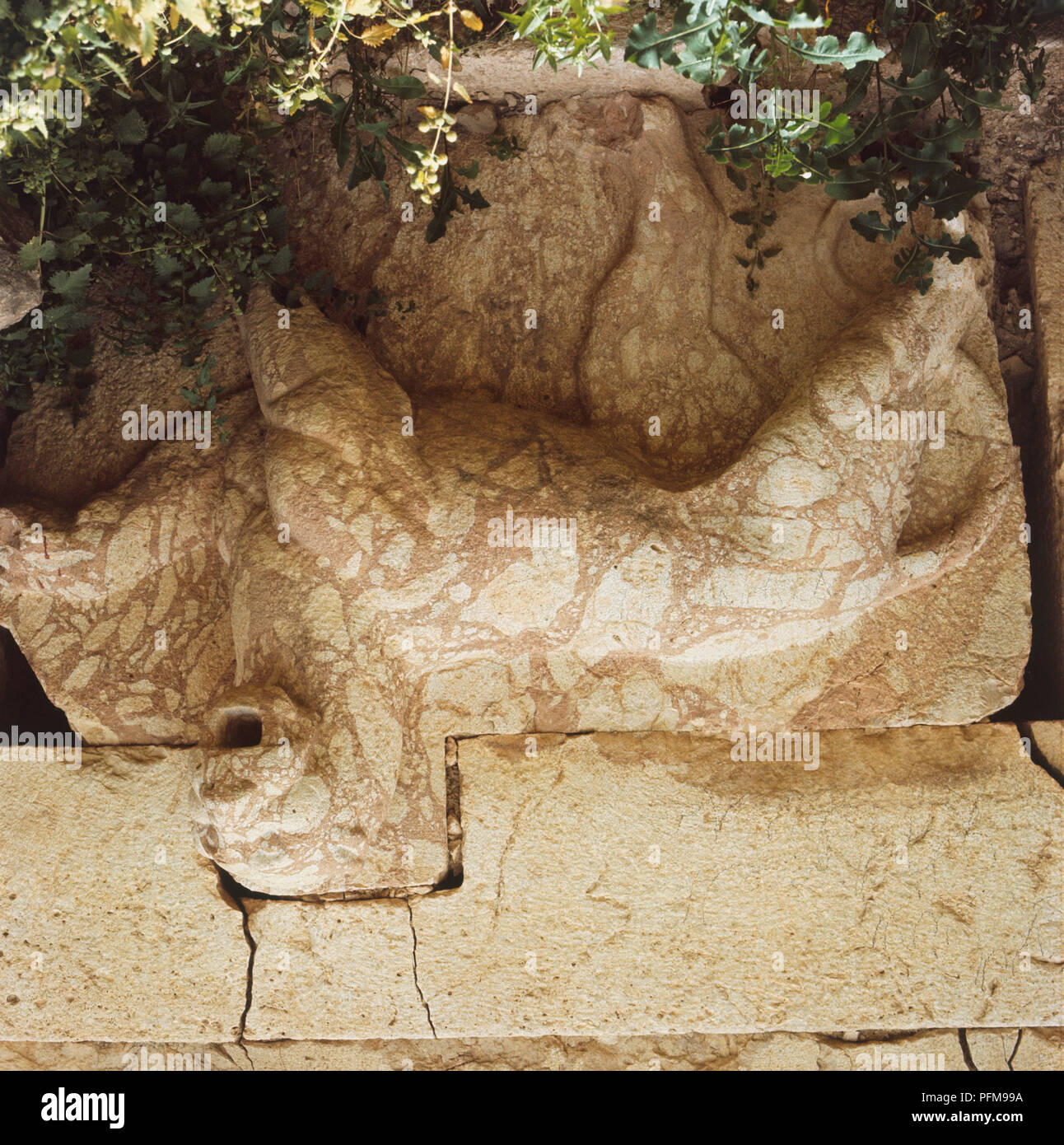 Decorative stone lion, used as a water fountain, in front of the castle at Quaser Al Abed, by Wadi Es Seer in Hellenistic Iraq Al-Emir, Jordan. Stock Photo
