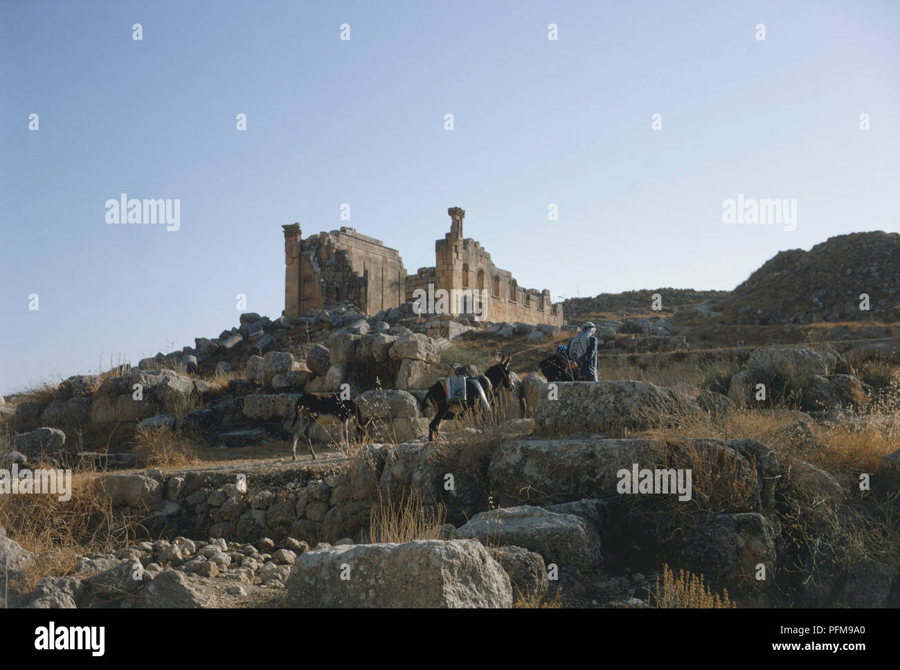 Jordan, Bedouin and donkeys near the Temple of Zeus, at the ancient Roman site of Jerash, 48 km north of Amman, one of the largest and most well-preserved sites of Roman architecture in the world today outside Italy. Stock Photo