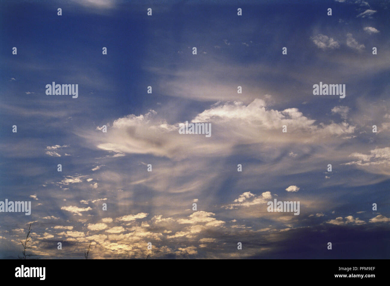 Altocumulus castellanus clouds highlighted by the red sunlight, bathed in glow of setting sun, blue sky behind. Stock Photo