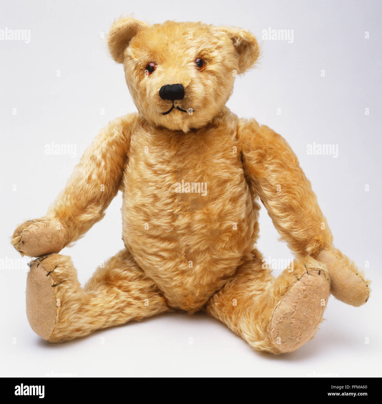 farnell teddy bears