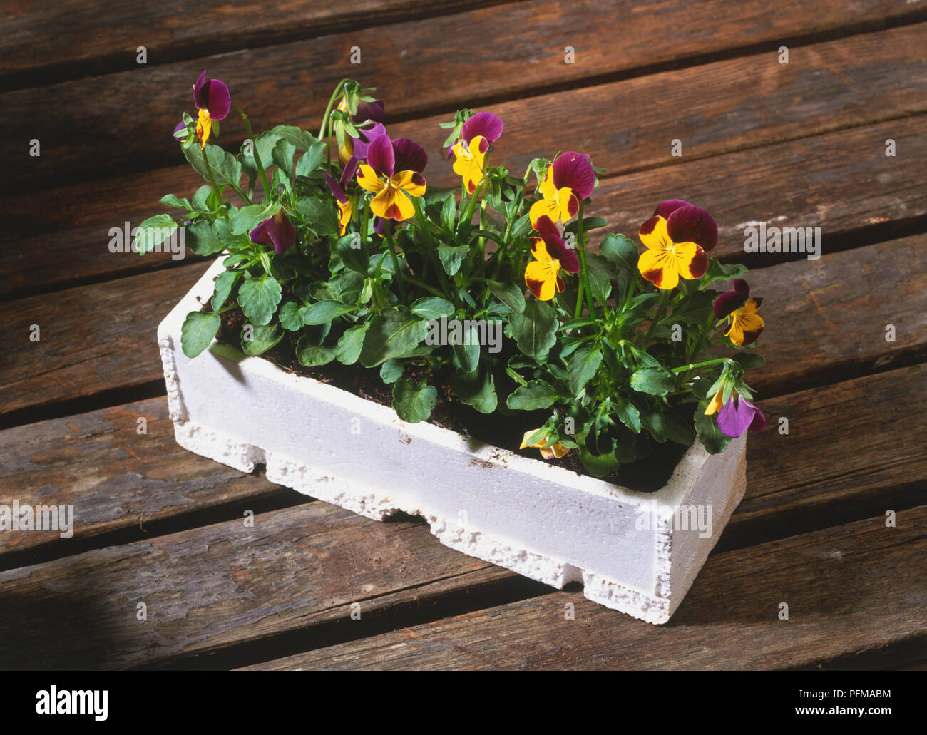 Rectangular box hi-res stock photography and images - Alamy