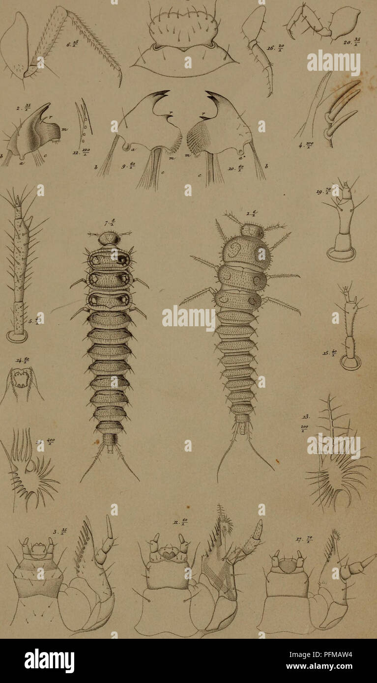 This work by J.C. Schiødt provides an in-depth examination of the ...