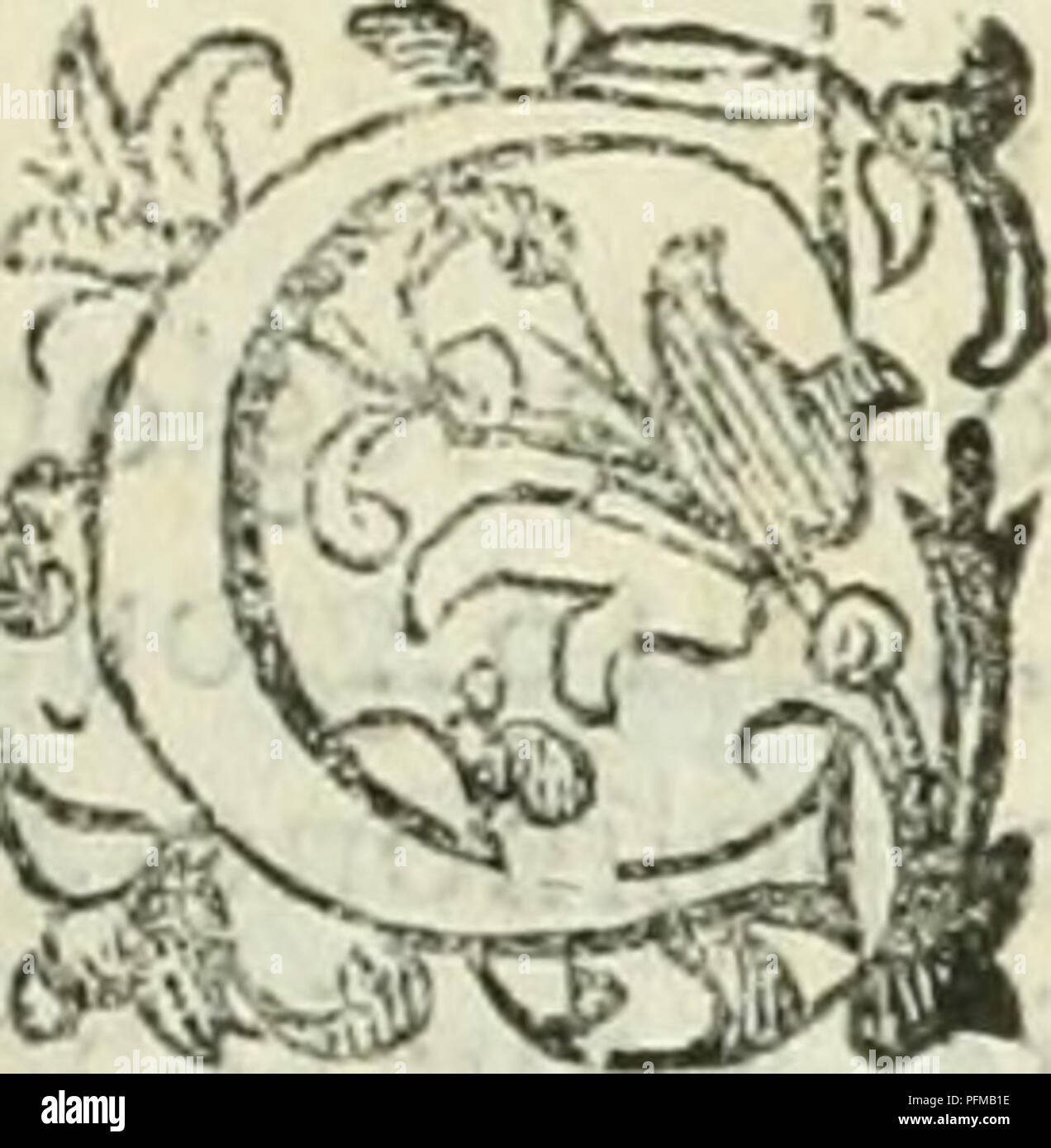 . Dell'elixir vitÃ¦. Elixir of life; Distillation; Alchemy; Medicinal plants; Medicine; Workshop recipes. Per quali parti del corpo s'a- doperino i Fio- ri della Buglof- fa.. intercide,e Ca roomilla lonole TiedcfÃ¬me. Forza della ca- momilla nelgio u.ire alle une lora. HI sÃ l'AntemidediDiofcoridelib. 3. e. 148. sa anche la.^ Camomilla, che fono vna ftefla cola. Grandemente vien . laudata queft'herba da Galeno I1b.9-cj.de facult.fimpl.di- cendo, ch'ella Ã¨ buona alle lailÃ¬rudini,mitiga i dolori,appia- na, efeioglie i tumori,rammollifce ledurczze,fÃ rare le co ftipationi, Ã¨ di molto giouament Stock Photo