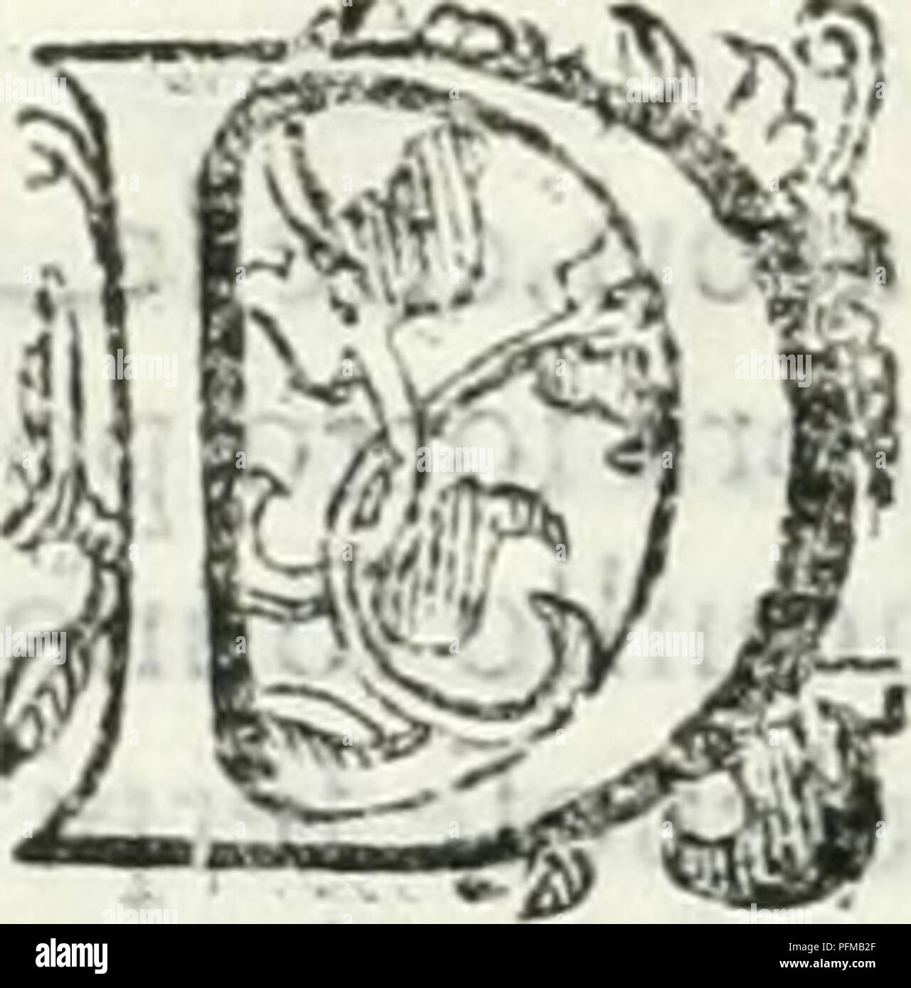 . Dell'elixir vitÃ¦. Elixir of life; Distillation; Alchemy; Medicinal plants; Medicine; Workshop recipes. Hz Dell' Elixir Vita? StomacÃ², fega- to &gt; vKcica, ce- ti a, e petto. Balfamatf'uo Ã¨ il Nardo. ' Diuerfi nomi che tiene la . bceilana. Parti delcotpo, che conolcono vcil medicami to dalla (celia- rla,uiteftini . Natura del]e &gt; donne, e mam- melle , VirtÃ¹ dcl!a Â» Stecade in bene ficarilfegato.il fele,ii ventre,le interiora,il cer uello, la tetta,! neriii.lavilcica. e la matrice. herbe errimi partito cola laudcuo!e&gt;&amp; opportunavVien raffomigliata,acciÃ² che per radice fi prend Stock Photo