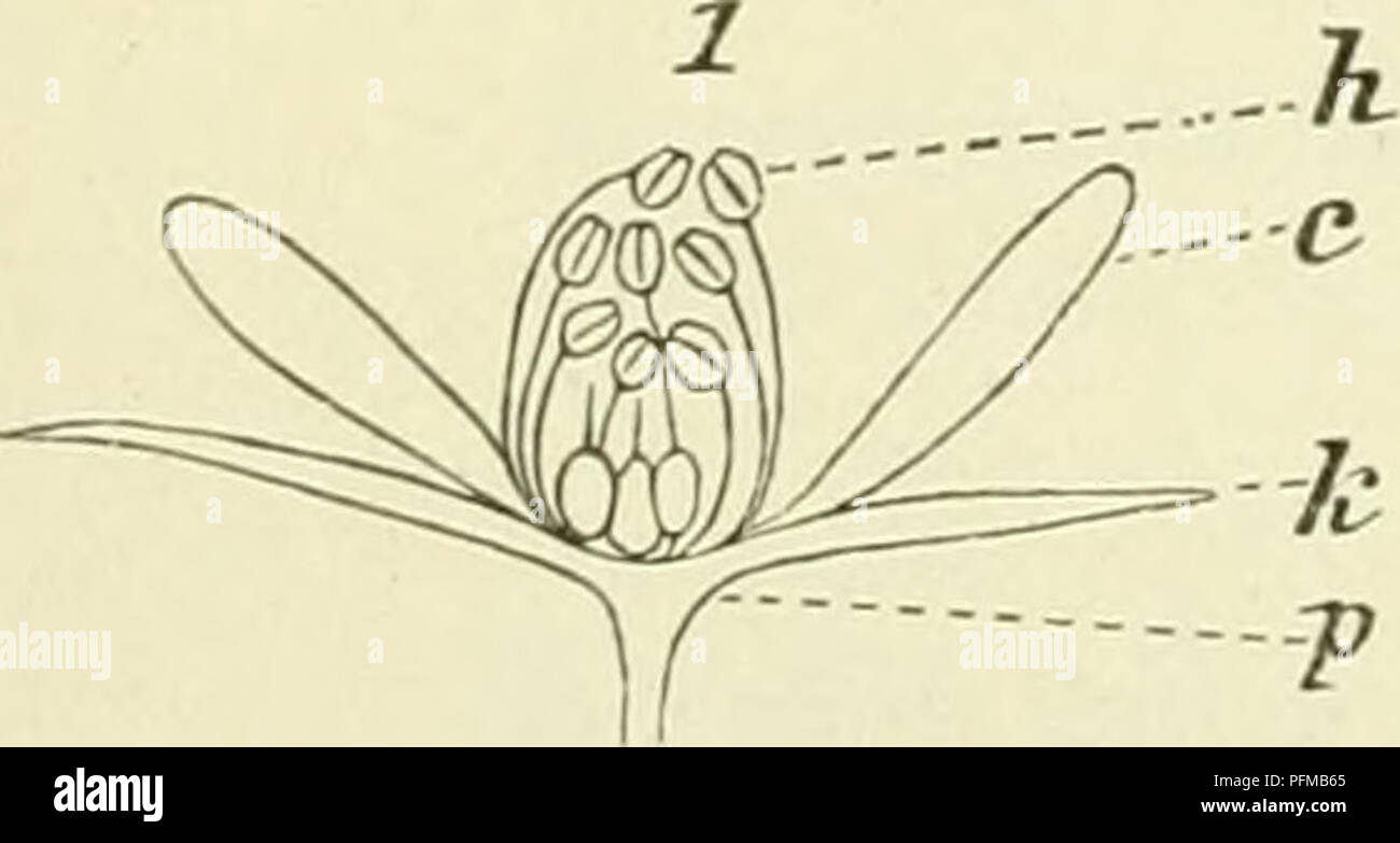 Veel High Resolution Stock Photography And Images Alamy