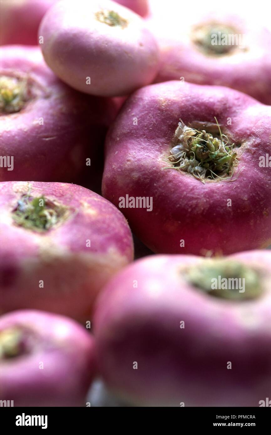 Purple baby turnips, closeup Stock Photo Alamy