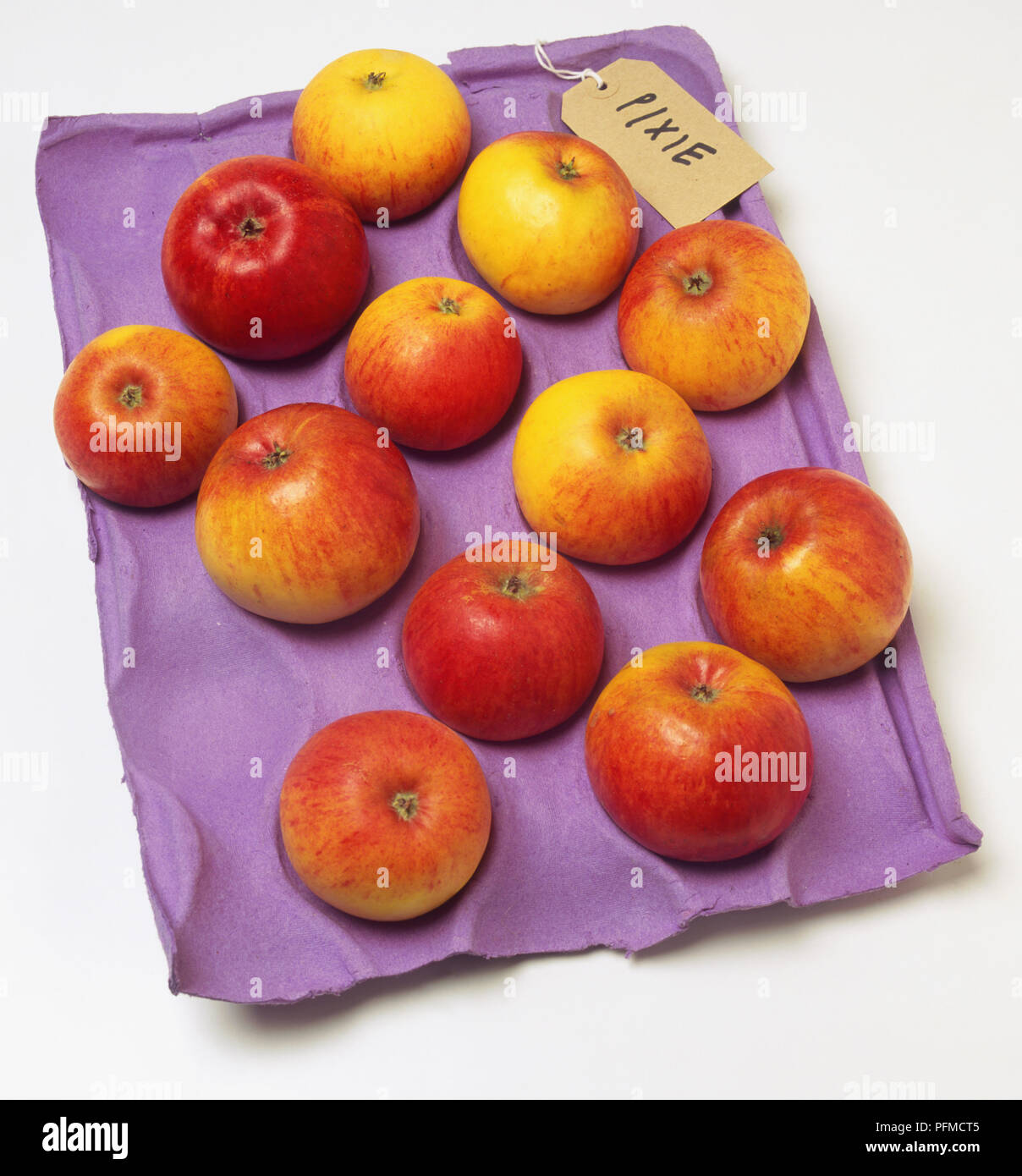 Malus sp., red Apples arranged on grocer's moulded cardboard tray, view from above. Stock Photo