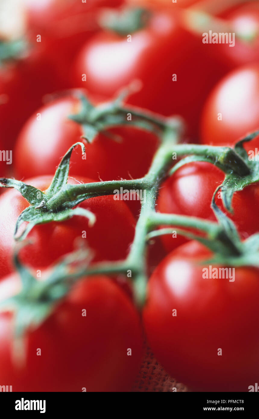 Close up of red tomatoes hi-res stock photography and images - Alamy