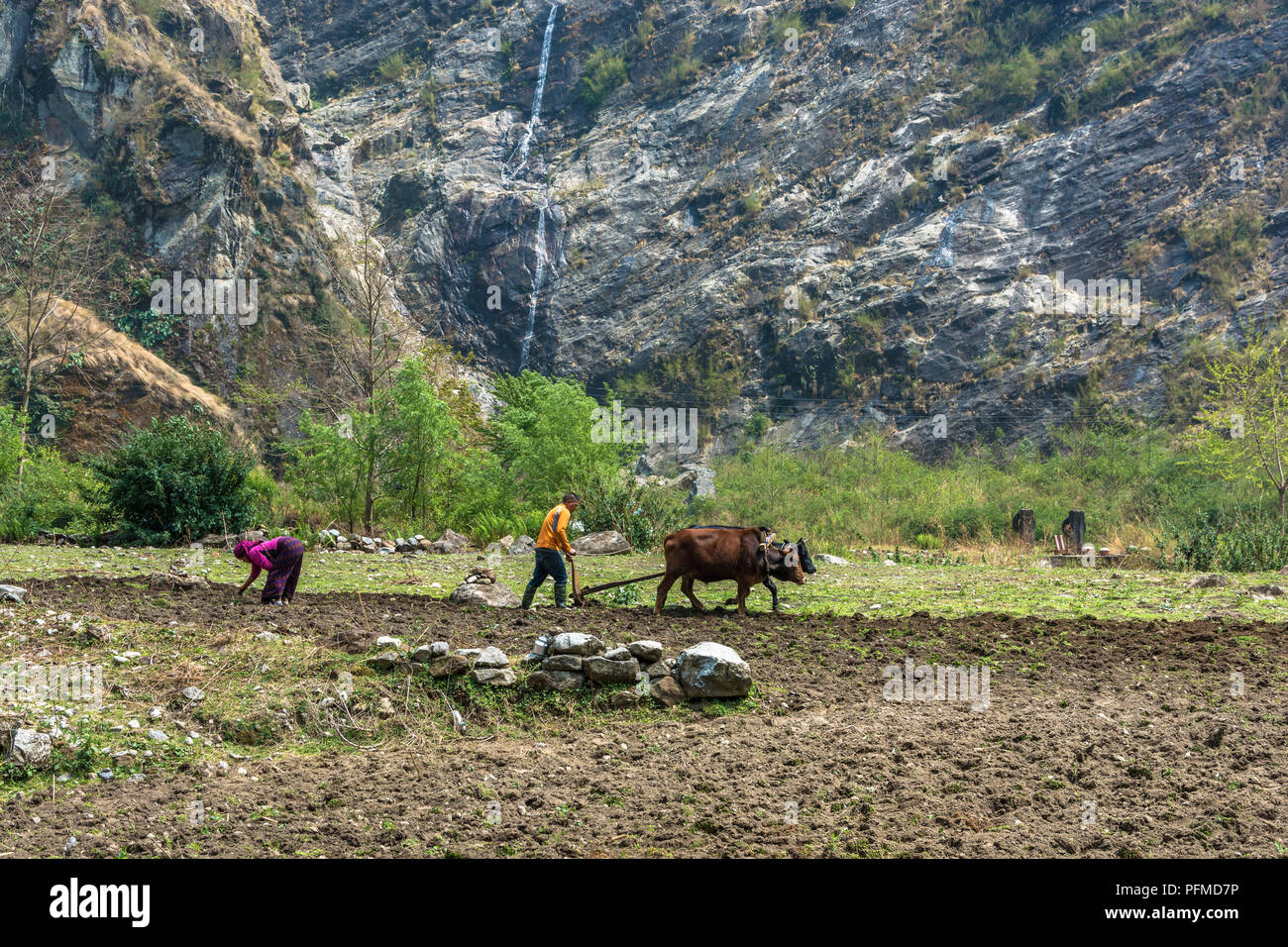 Wooden plow hires stock photography and images Alamy