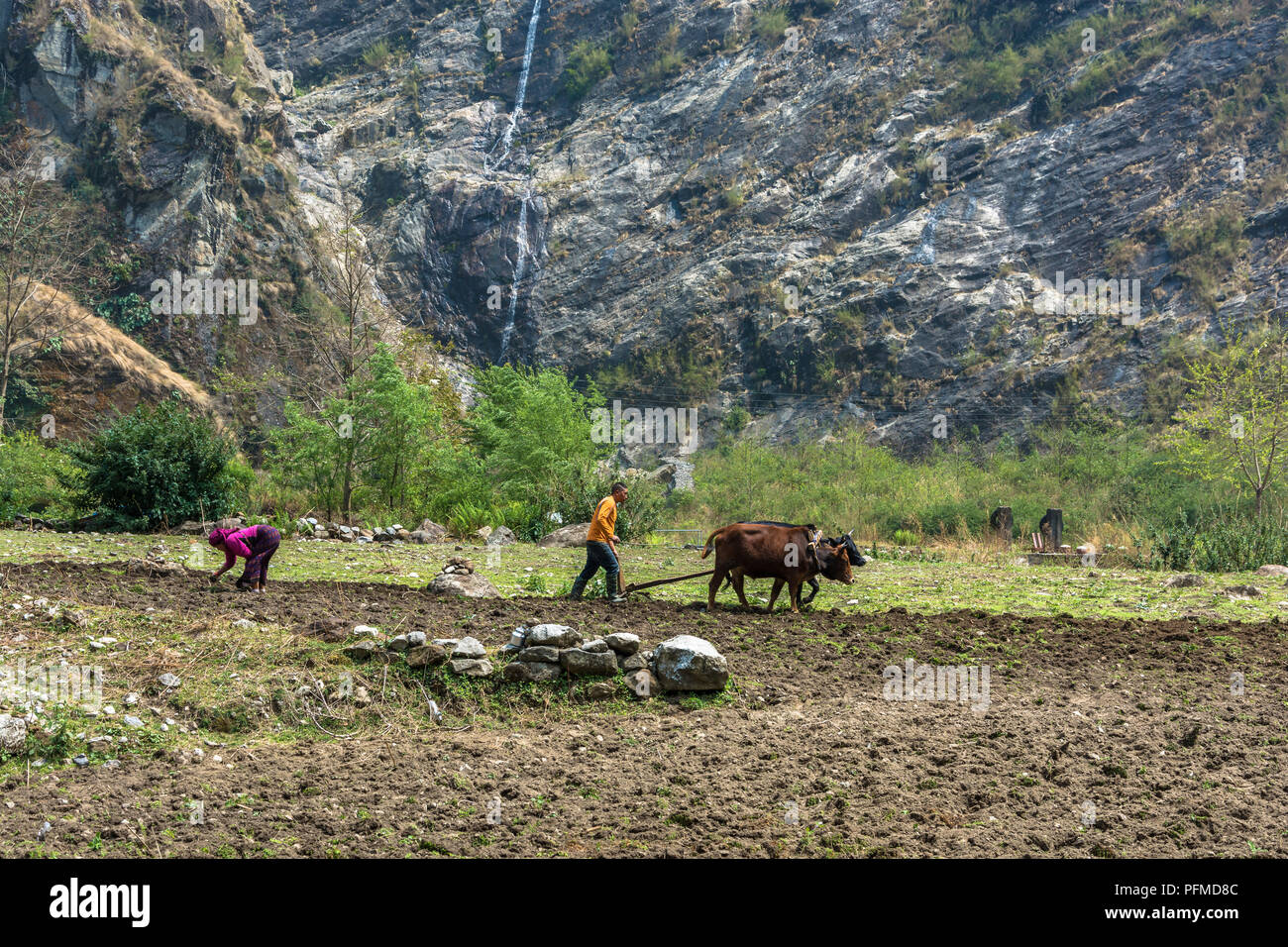 Wooden plow hires stock photography and images Alamy