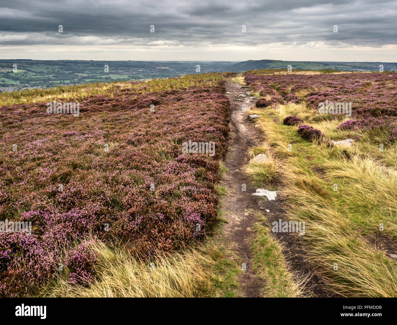 The Millennium Way footpath on Burley Moor West Yorkshire England Stock