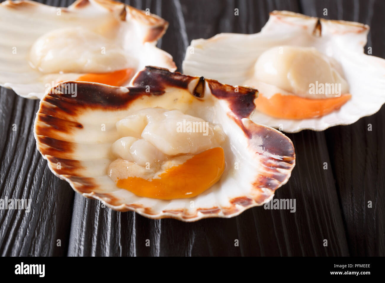 Seafood. Shellfish. Raw queen scallops on black wooden table ...