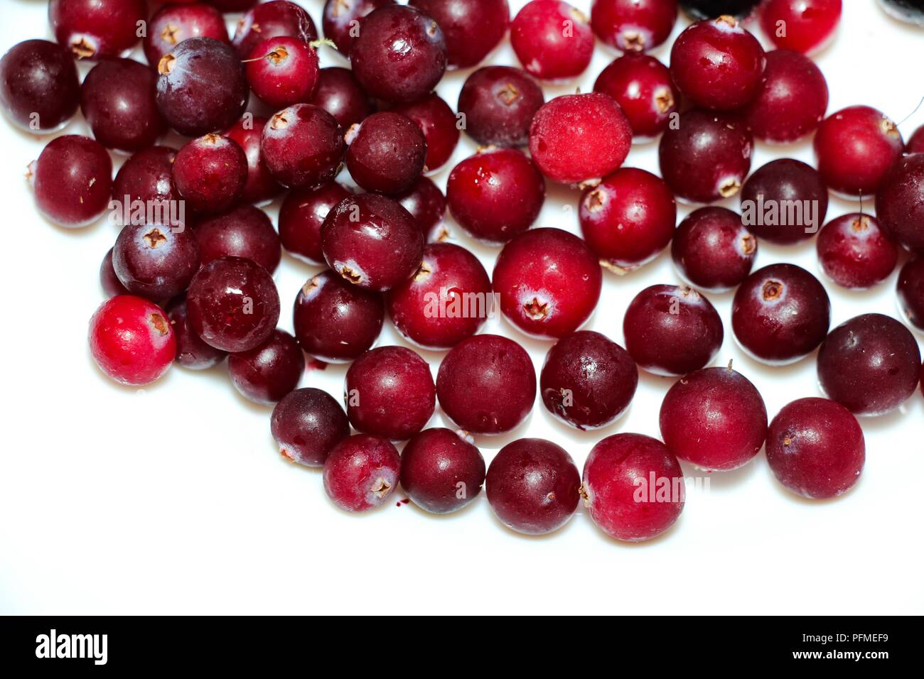 Freshly frozen berries for cooking food or drink. Cranberries frozen