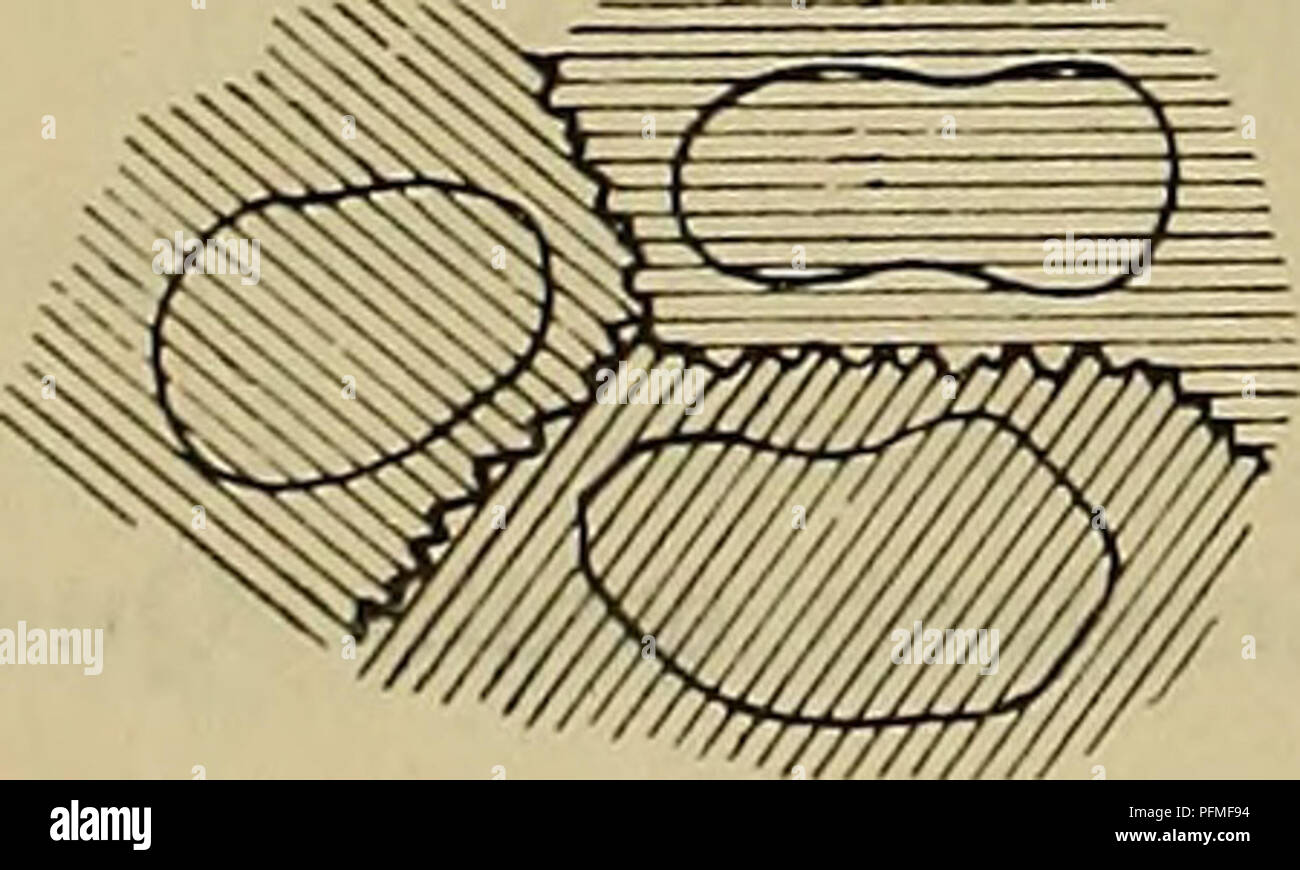 This document from the Austrian Academy of Sciences discusses various ...