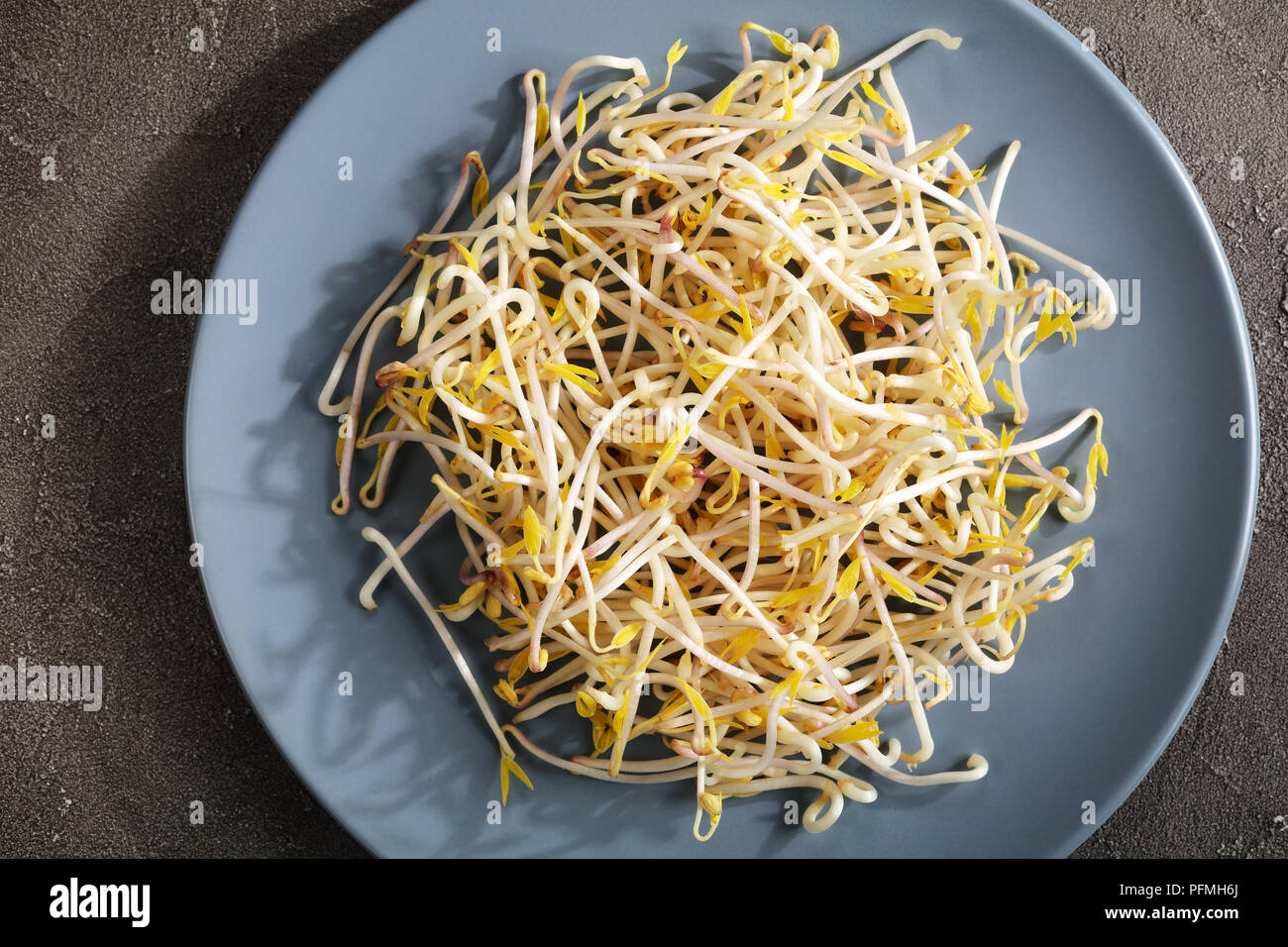 freshly grown mung Bean Sprouts on plate on concrete background, major ingredient of asian cuisine, view form above, close-up Stock Photo