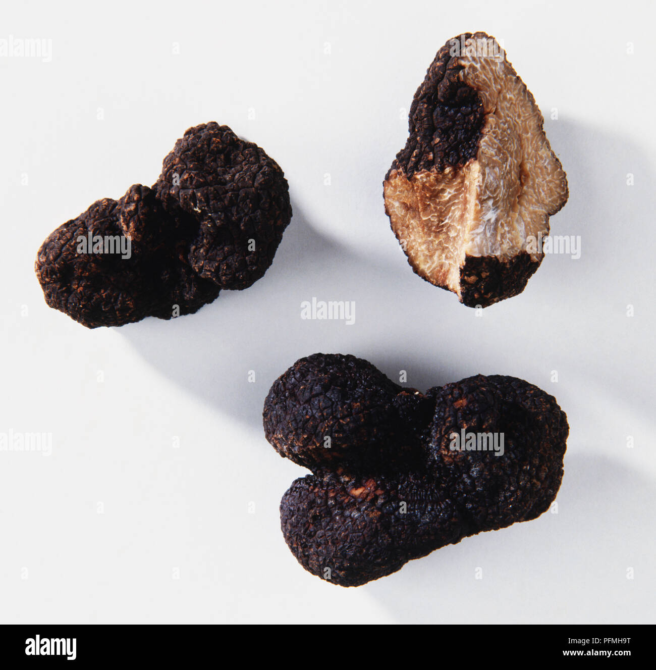 Perigord Truffle, Tuber melanosporum. Stock Photo