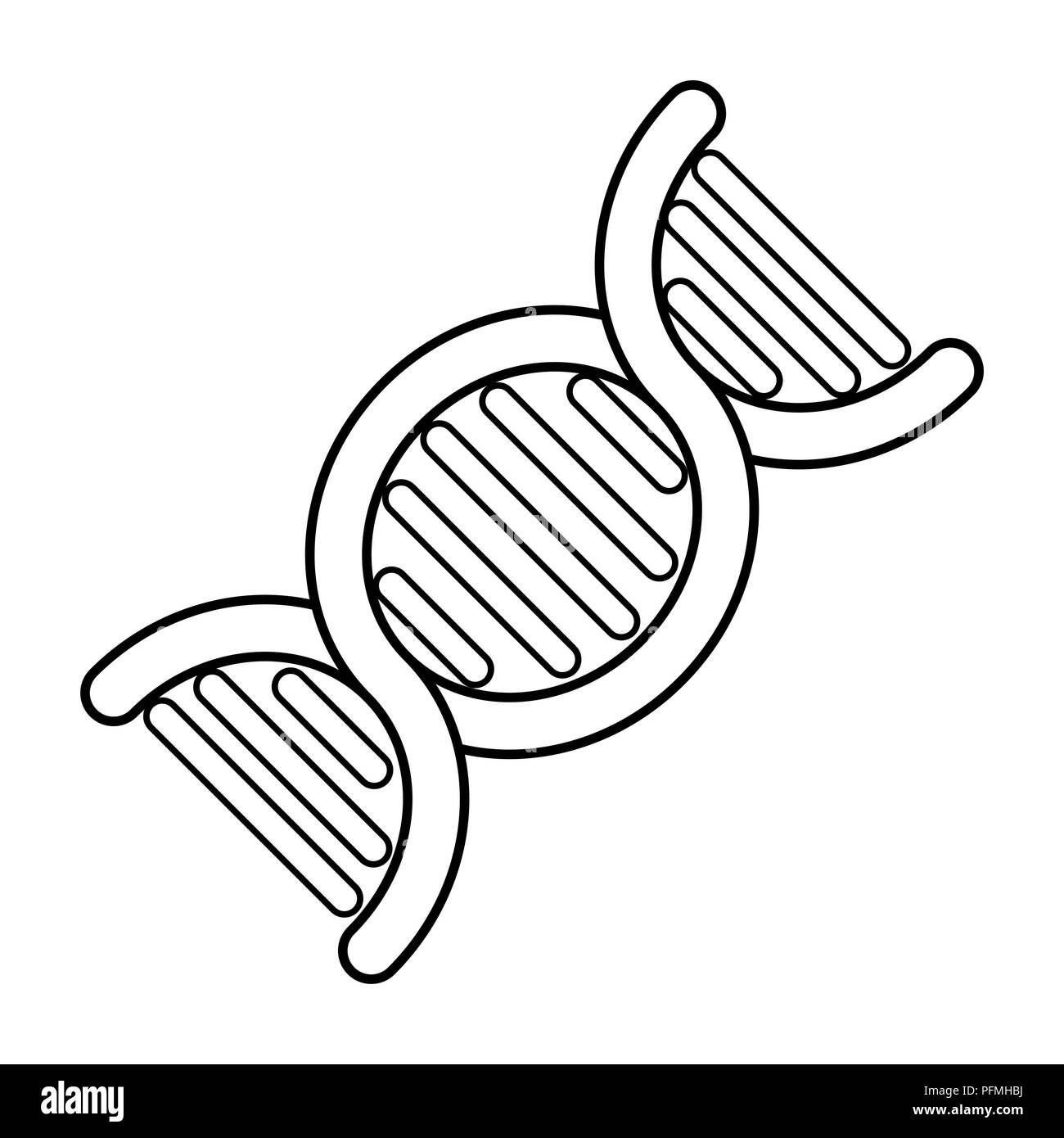 Dna Molecule Black And White Stock Photos Images Alamy