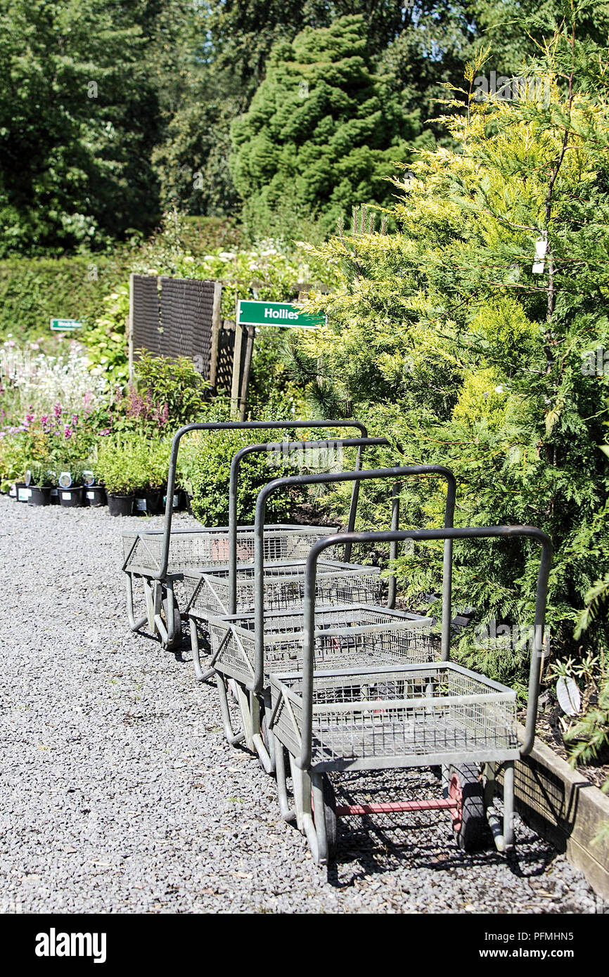 Portrait image of garden centre flowers, tree and shrubs on display and all for sale. Plants