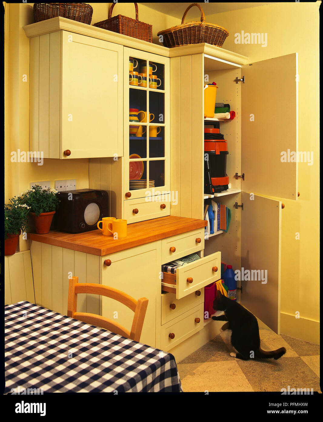 Cat pawing at kitchen utility cupboard. Stock Photo