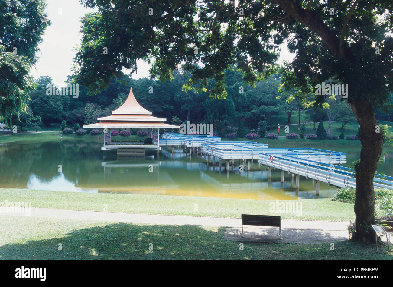 Singapore, MacRitchie Reservoir, wooden bandstand with pagodalike