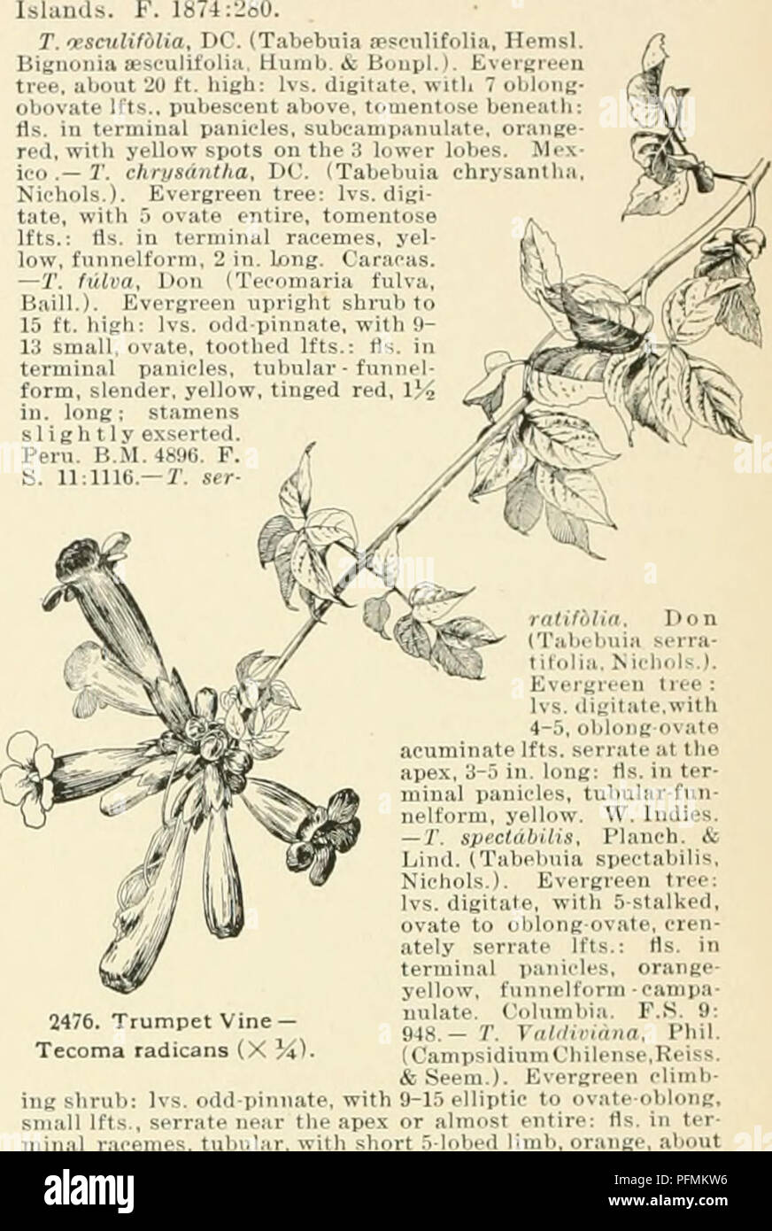 Cyclopedia Of American Horticulture Comprising Suggestions For Cultivation Of Horticultural Plants Descriptions Of The Species Of Fruits Vegetables Flowers And Ornamental Plants Sold In The United States And Canada Together With
