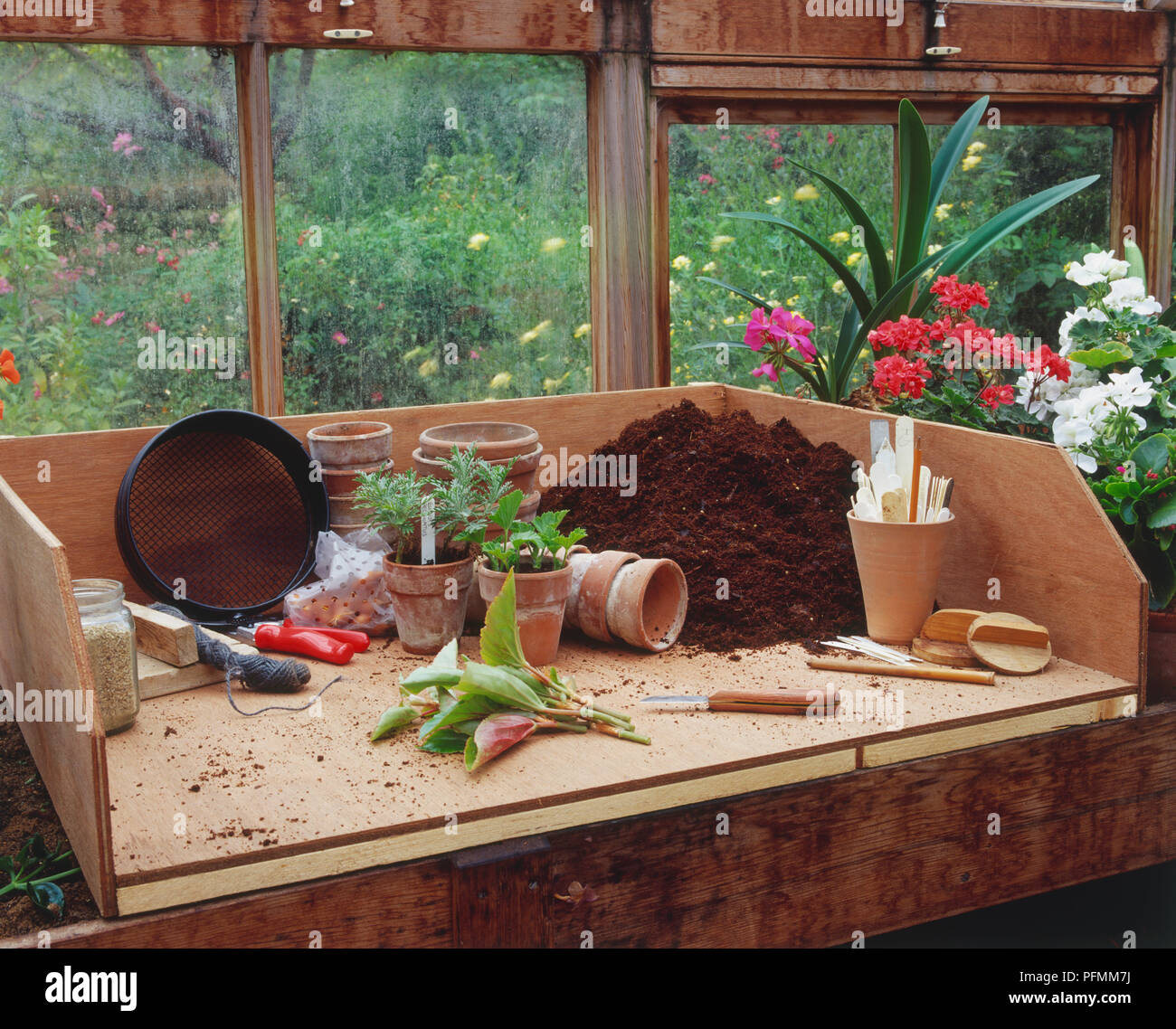 Greenhouse work surface showing plants in pots, small heap of compost ...