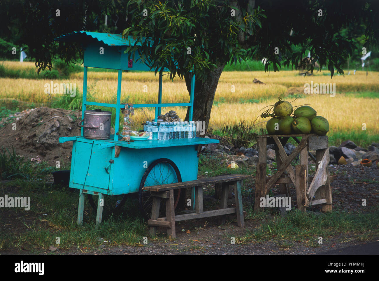 Indonesia, East Bali, near Candi Dasa, road-side food stall selling water and fruit. Stock Photo