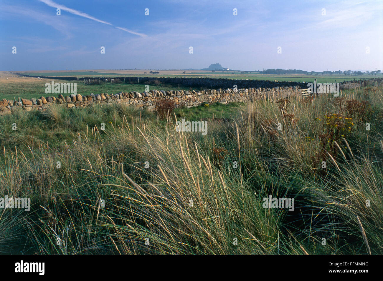 Great Britain, England, Northumberland, view of grassland across stone ...