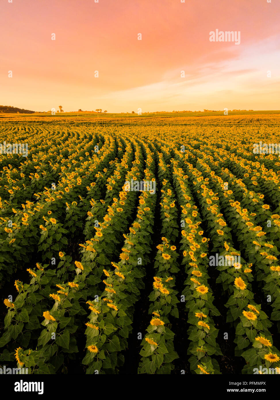Toowoomba hires stock photography and images Alamy